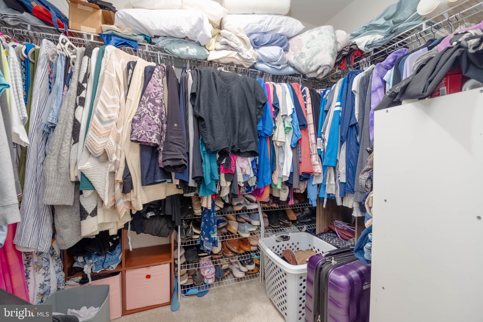 RIDGELY FOREST - Residential