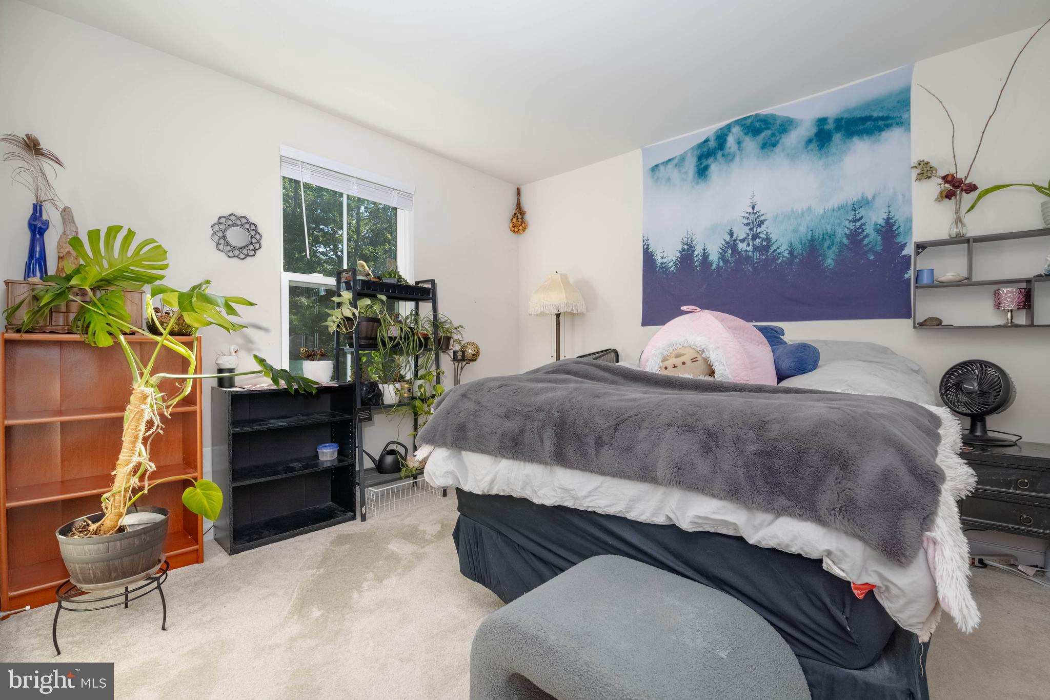 RIDGELY FOREST - Residential