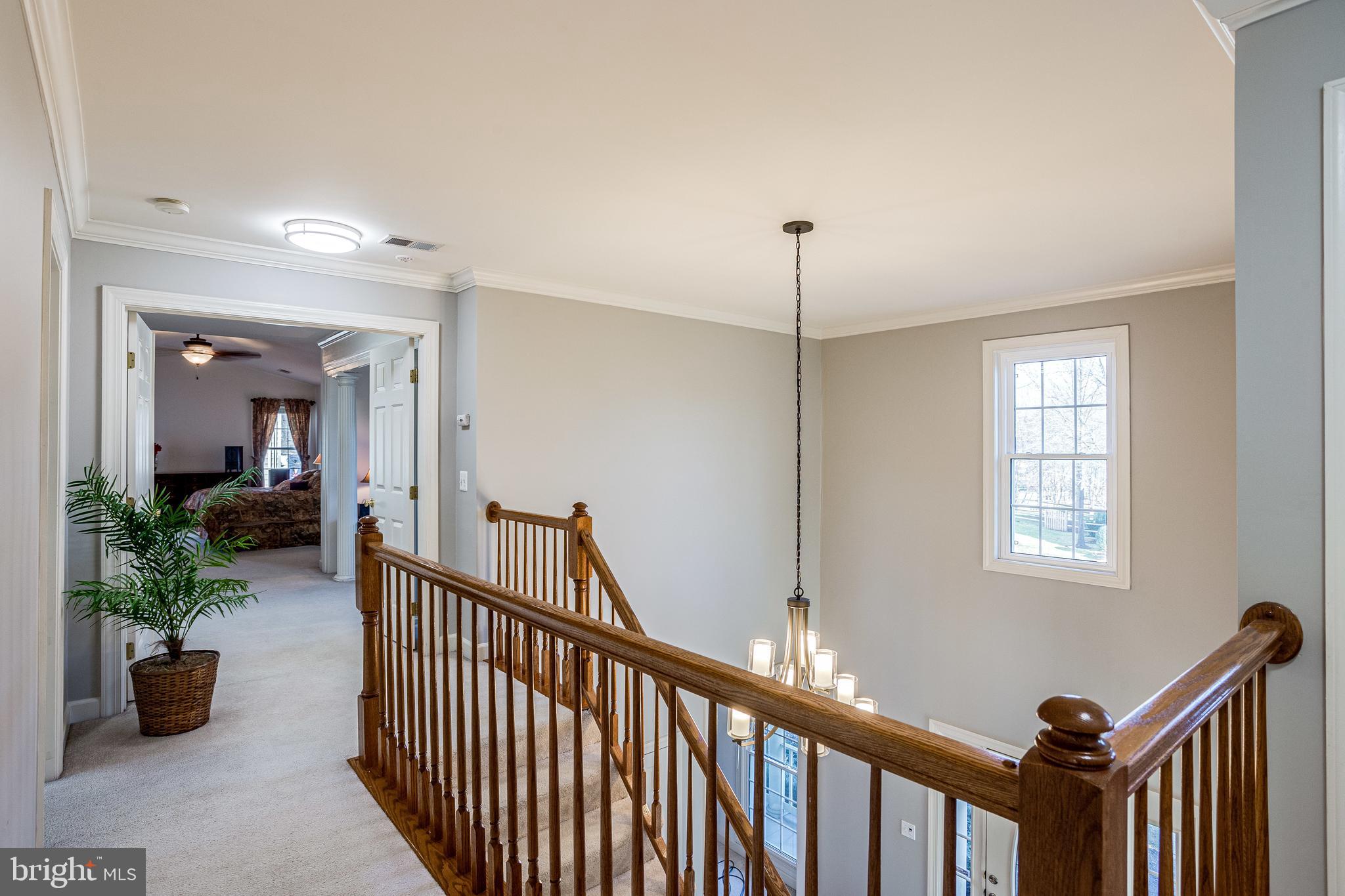 POTOMAC STATION - Residential