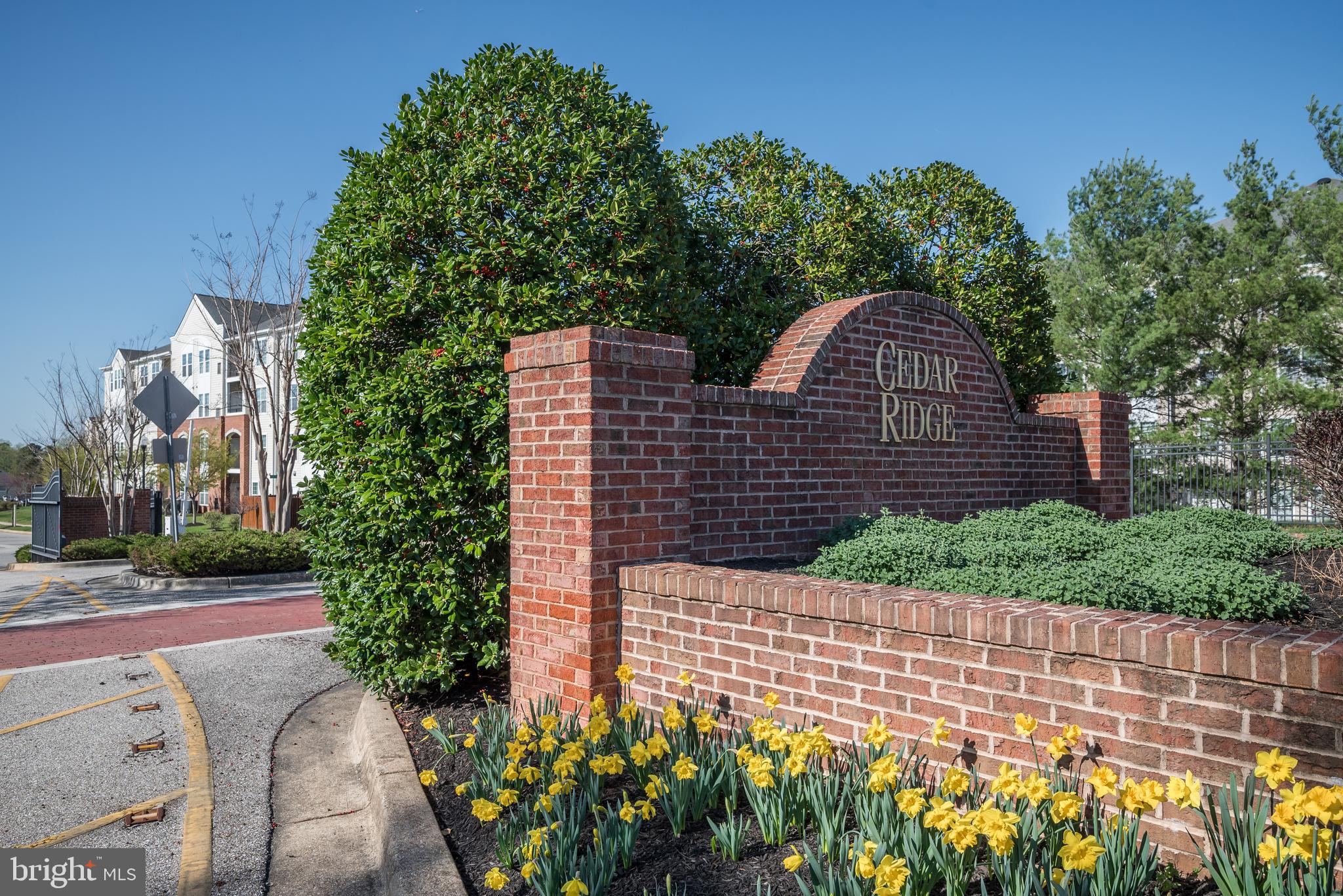 CEDAR RIDGE - Residential