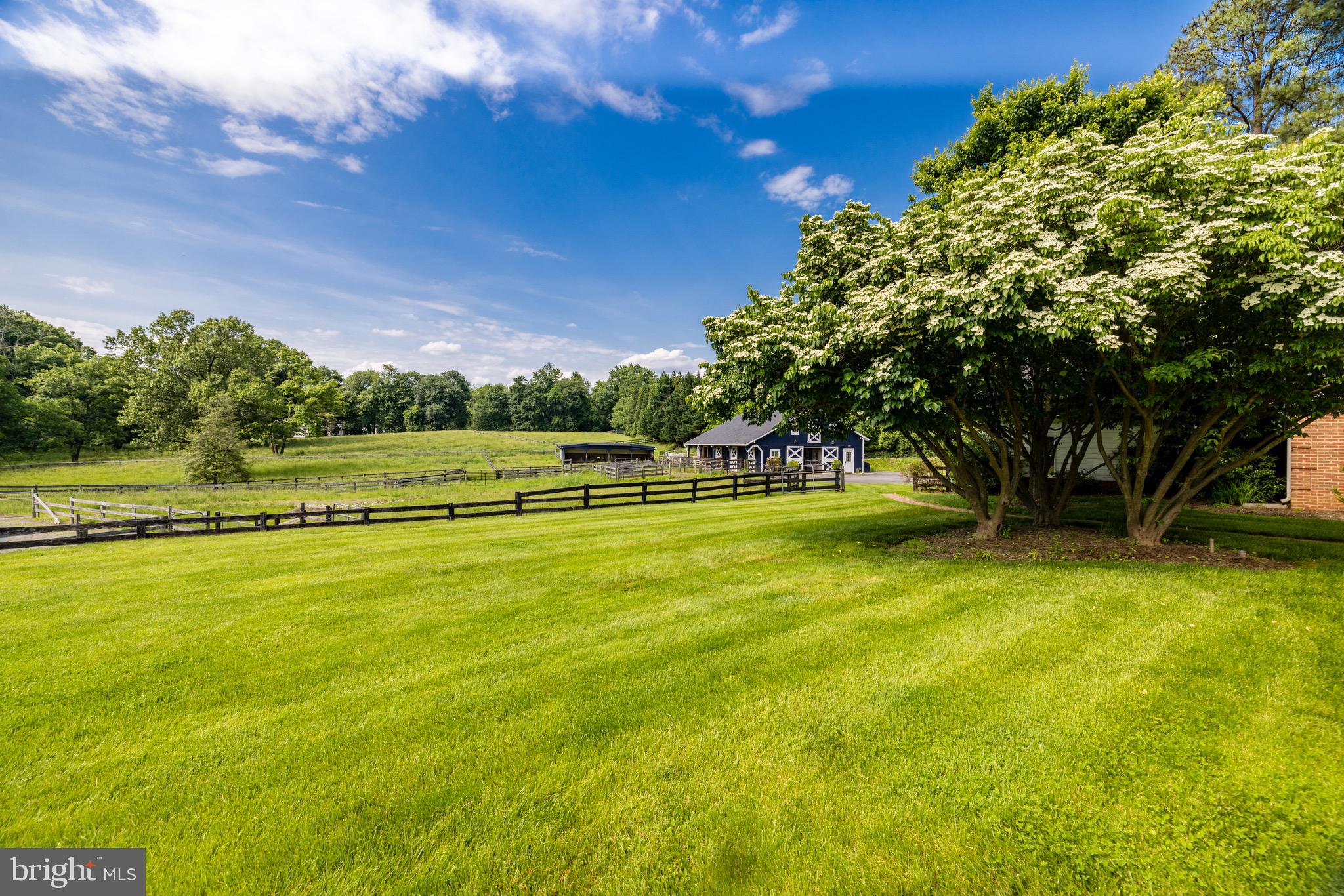 FORESTVILLE - Residential