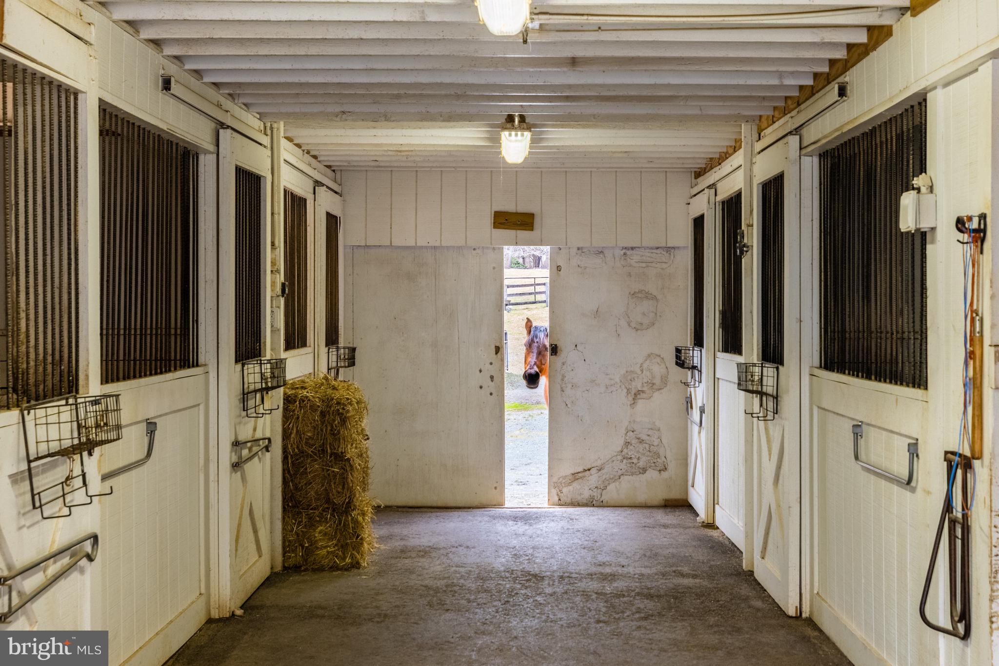 FORESTVILLE - Residential