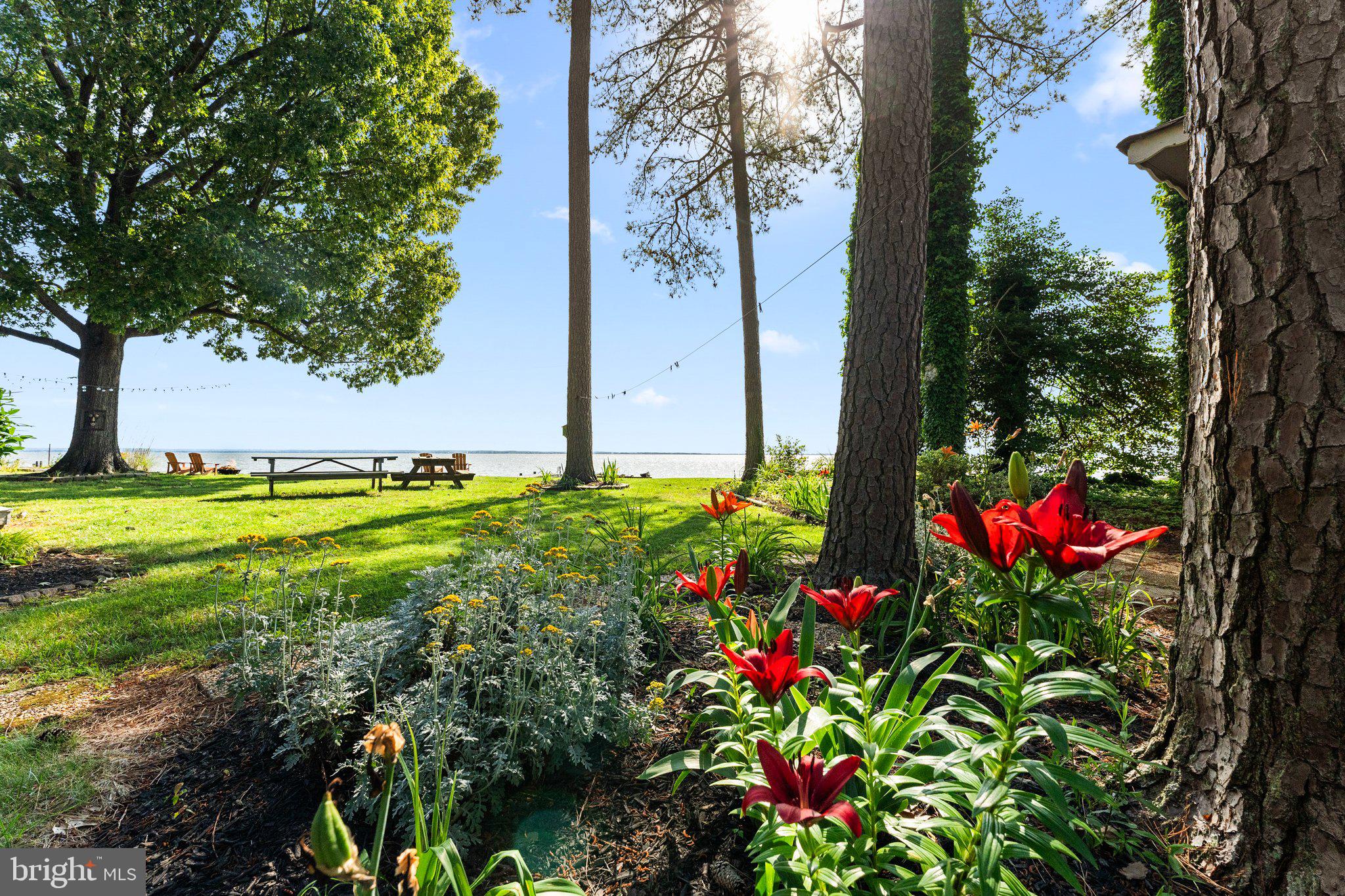 RAGGED POINT BEACH - Residential