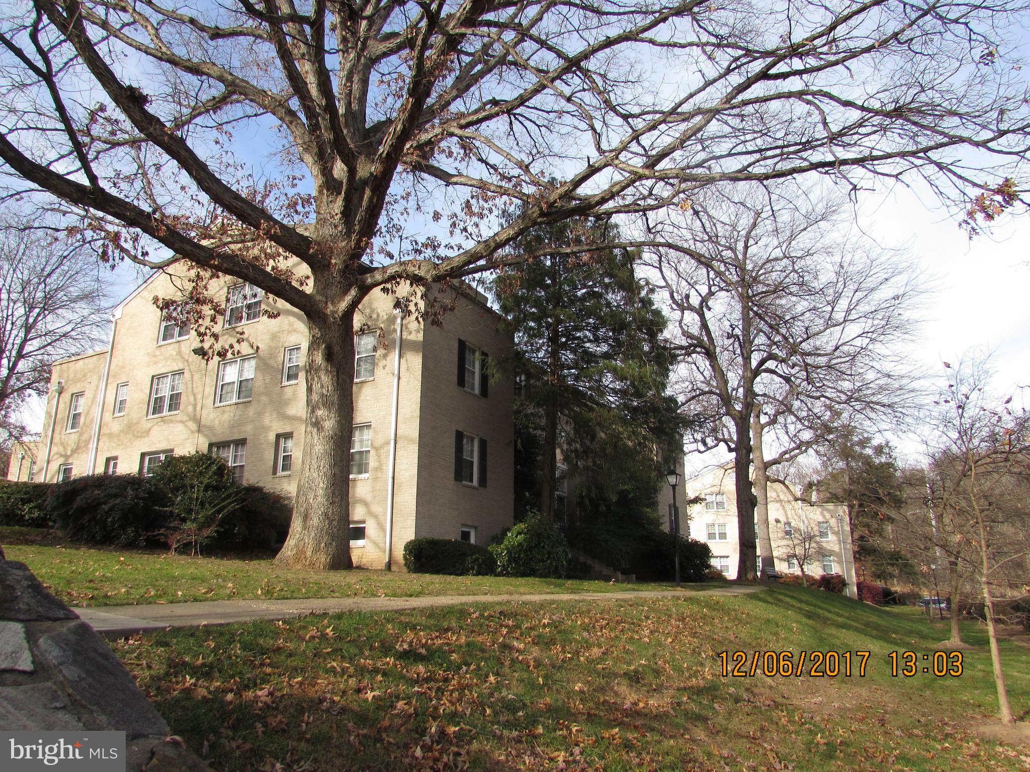 808 ARLINGTON MILL DRIVE 9-303