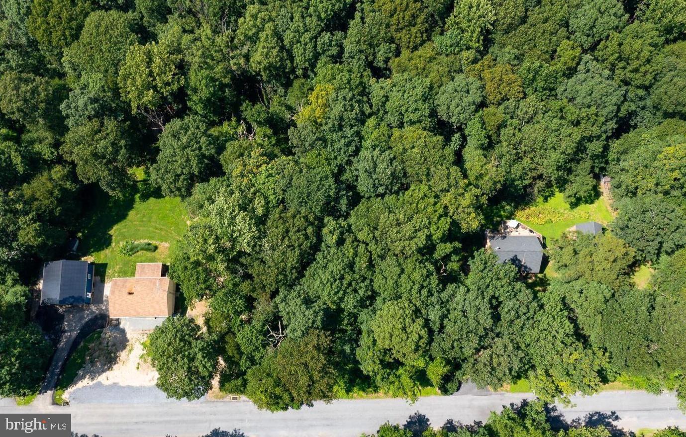 9 DEER LANE