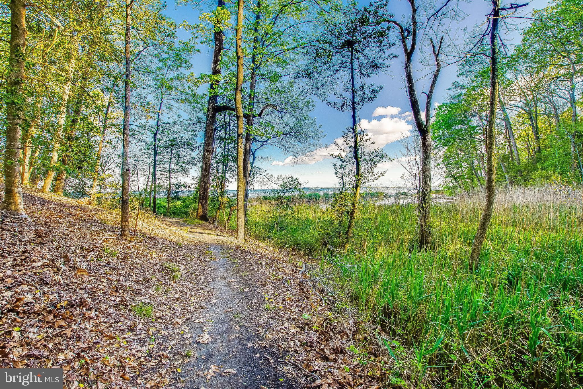 CHESAPEAKE RANCH ESTATES - Residential