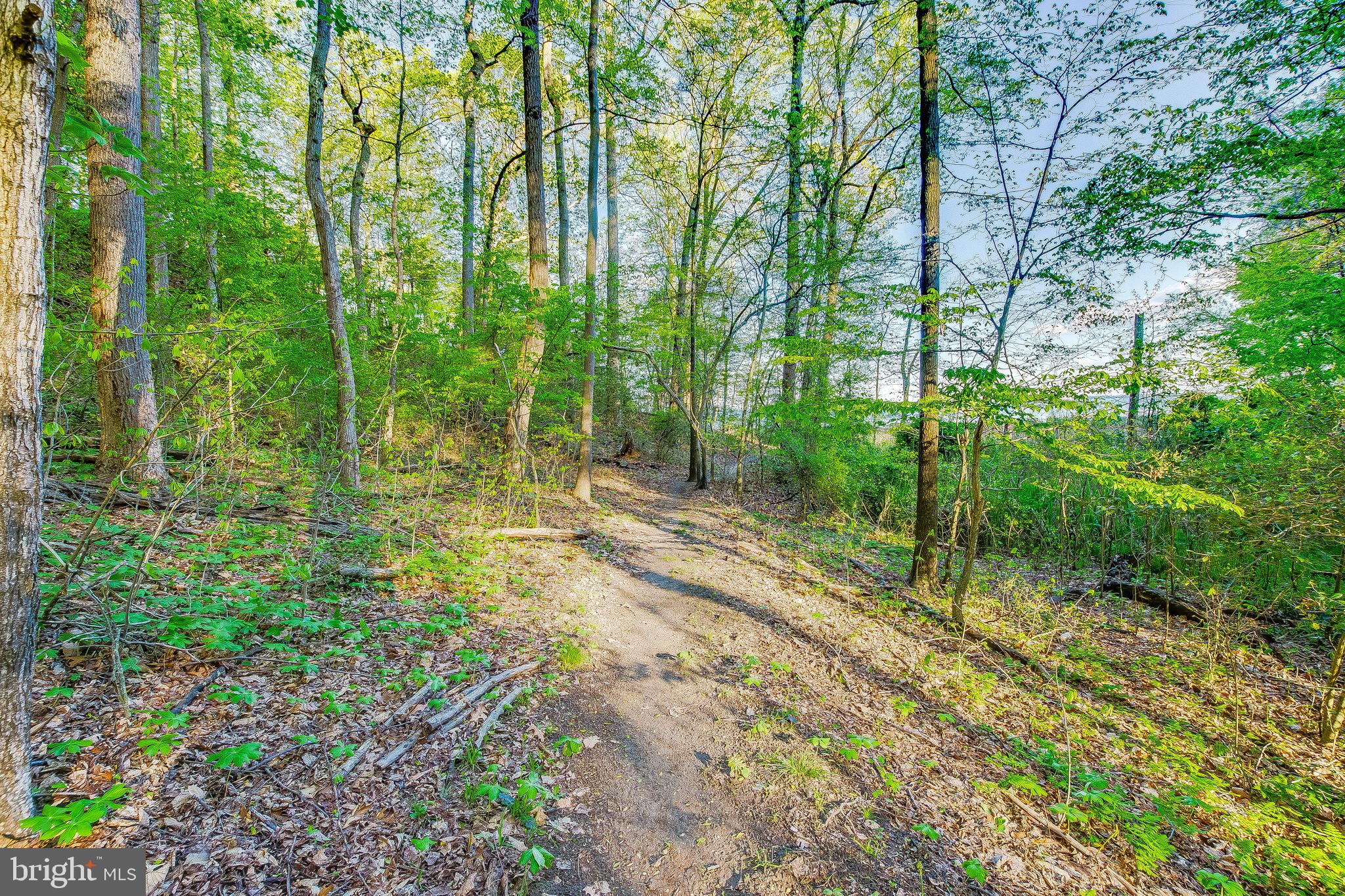 CHESAPEAKE RANCH ESTATES - Residential