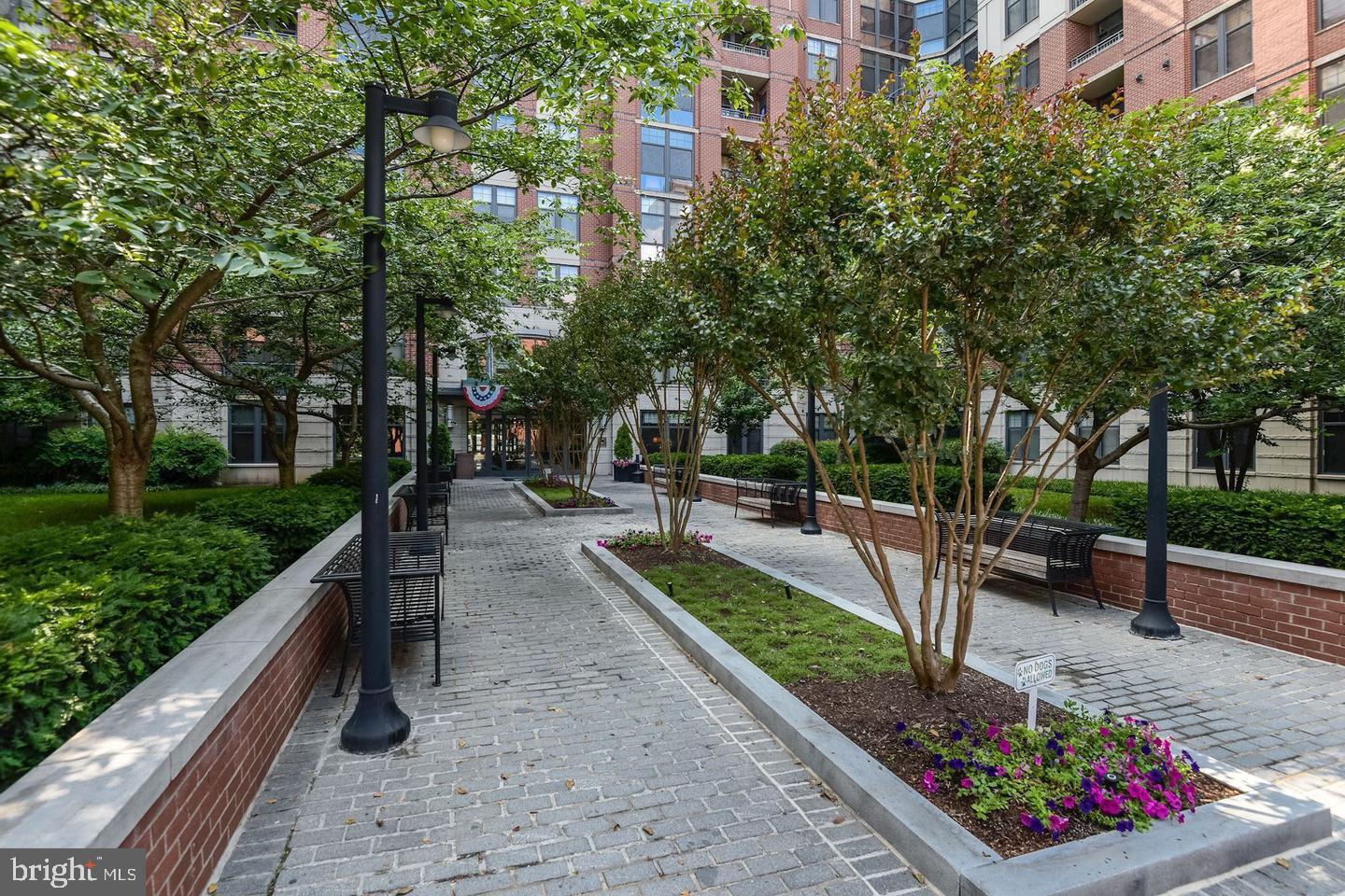 CLARENDON - Residential Lease