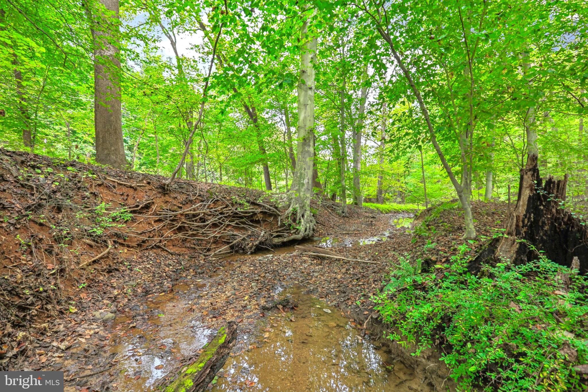 KINGSVILLE - Residential