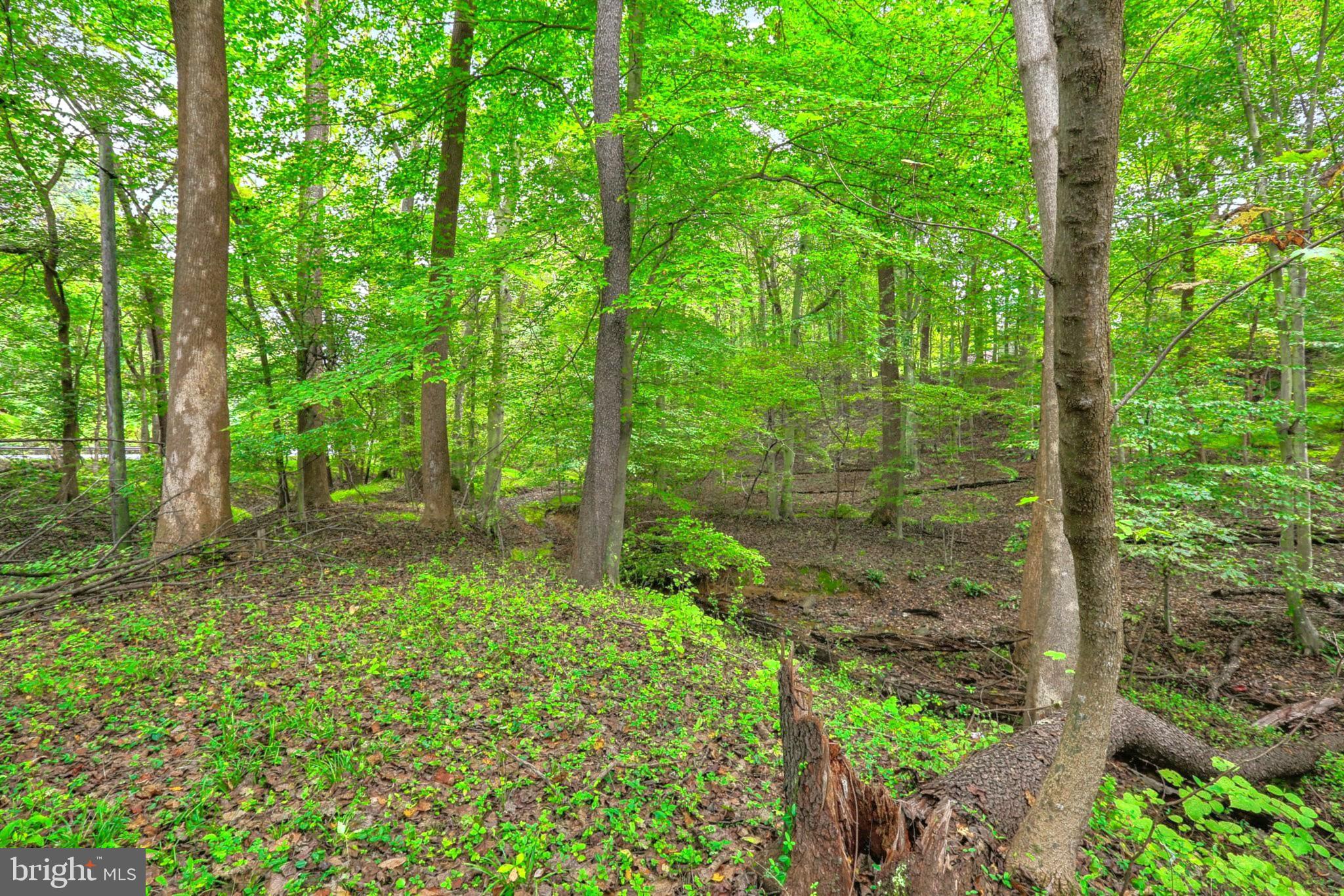 KINGSVILLE - Residential