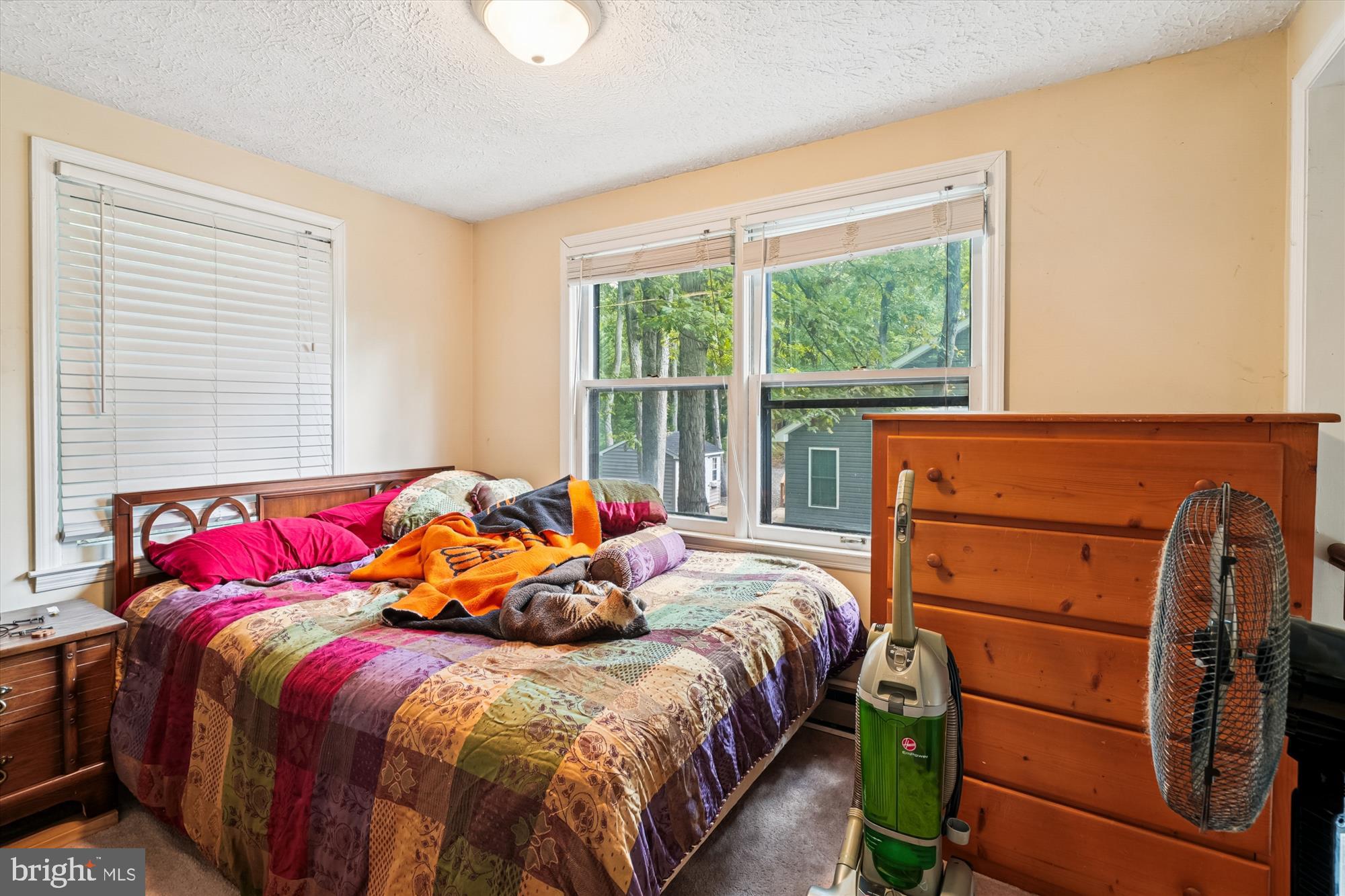 LAKE OF THE WOODS - Residential