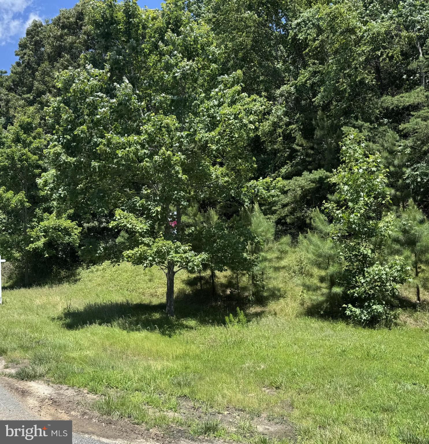 DANBRIDGE ESTATES - Land