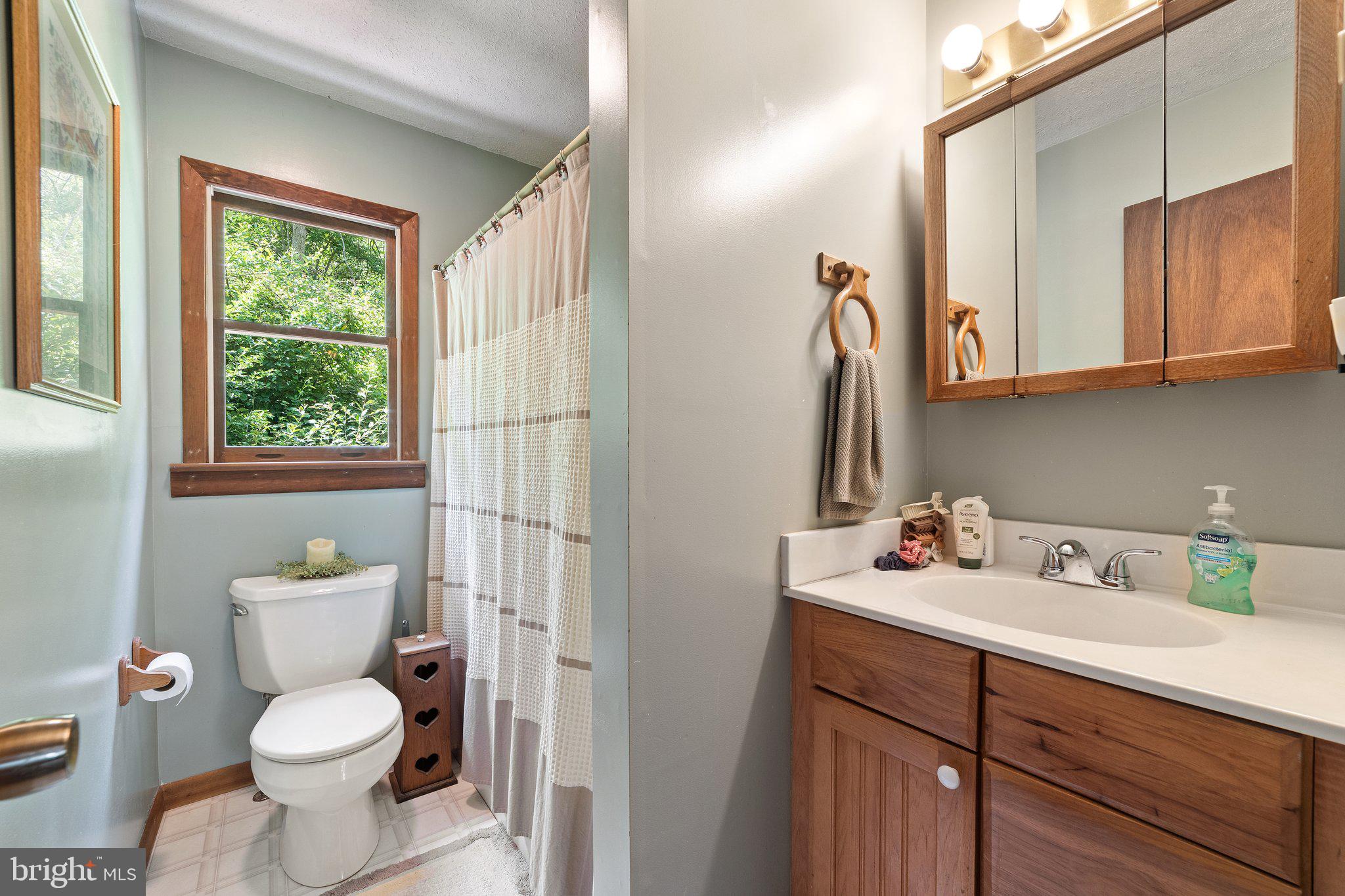 CAPON BRIDGE RESORT - Residential