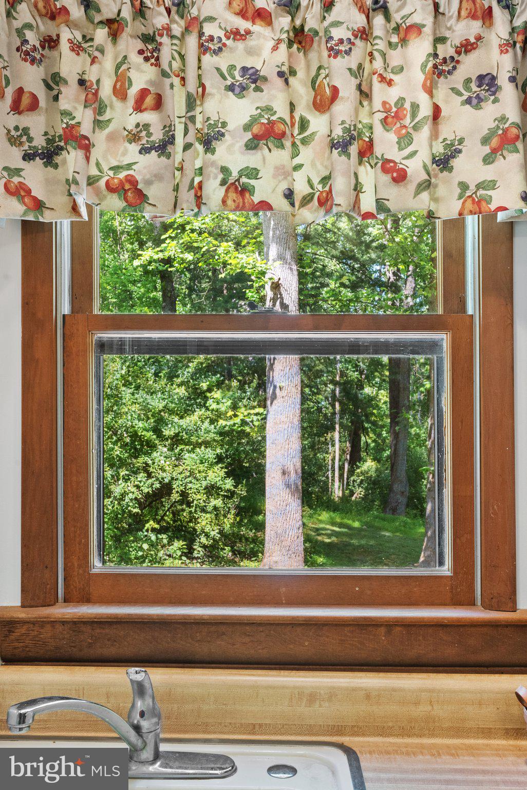 CAPON BRIDGE RESORT - Residential