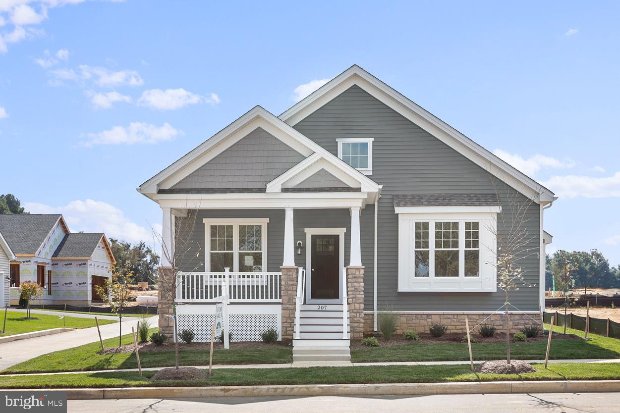 204 BALDY LANE BRISTOLE