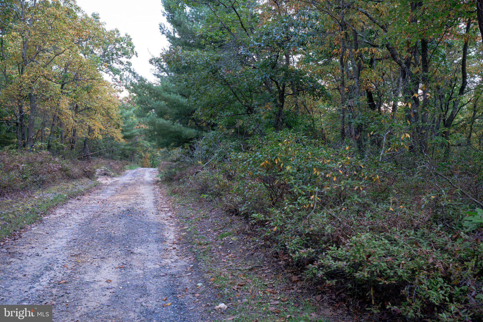 0 SPRING LICK TRAIL