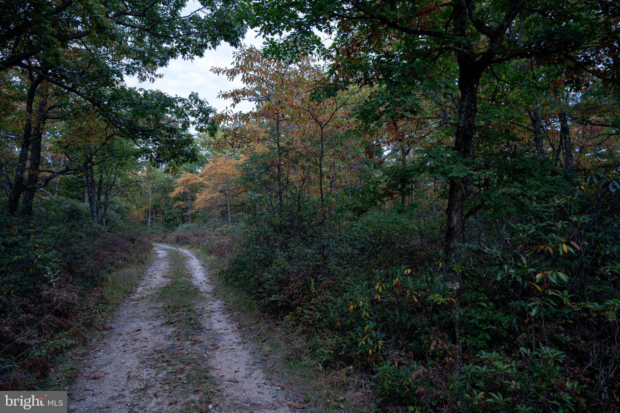 0 SPRING LICK TRAIL