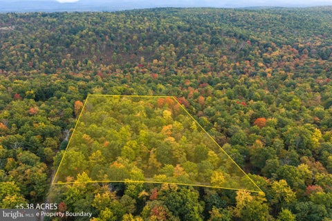 Vacant Land For Sale - Spring Lick Trail<br/> BEECH CREEK, PA 16822
