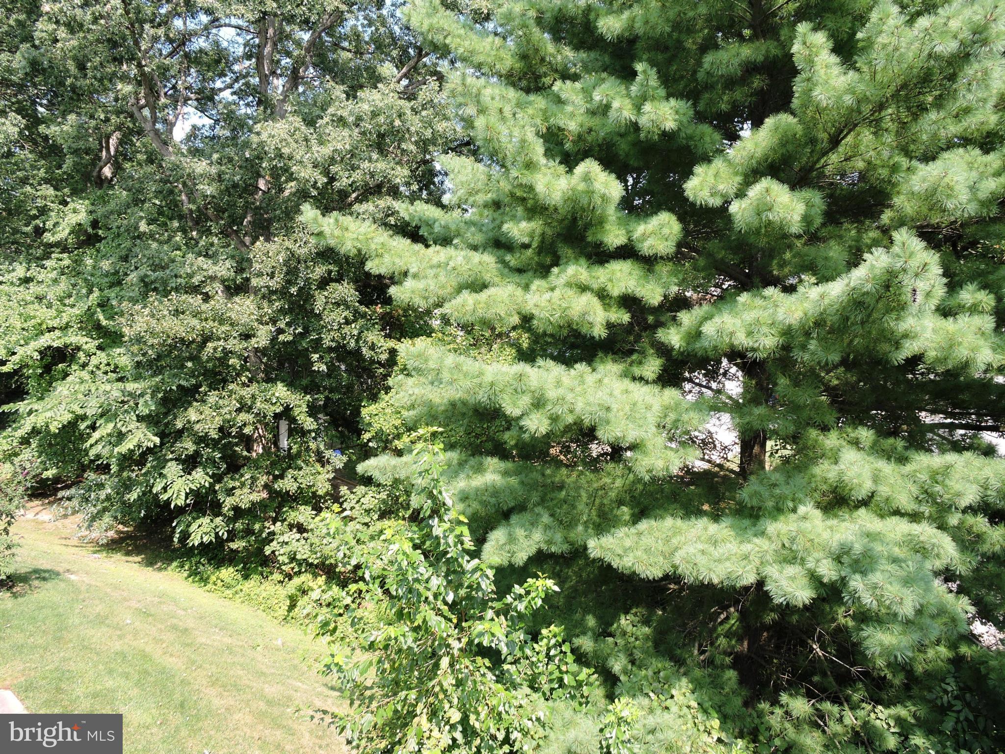 SATYR GREEN - Residential Lease