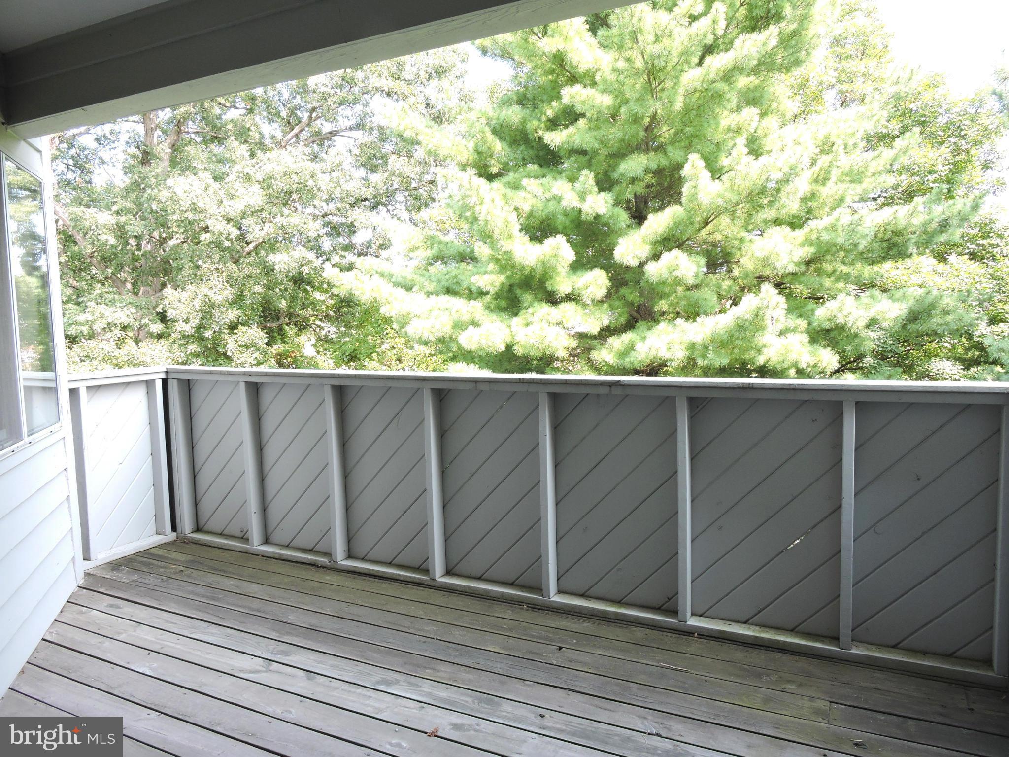 SATYR GREEN - Residential Lease