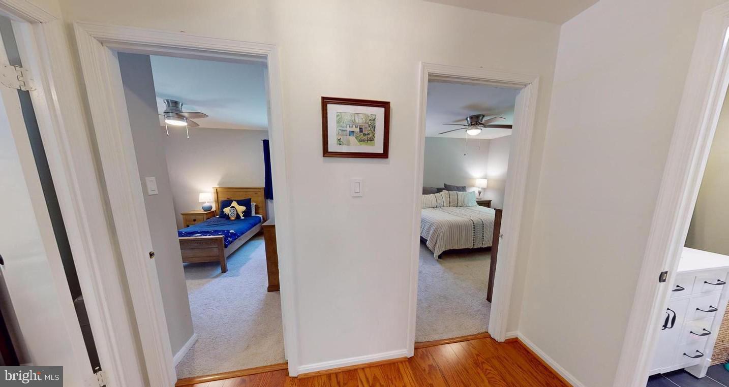 SPRINGFIELD - Residential Lease