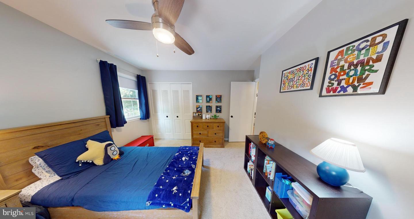 SPRINGFIELD - Residential Lease