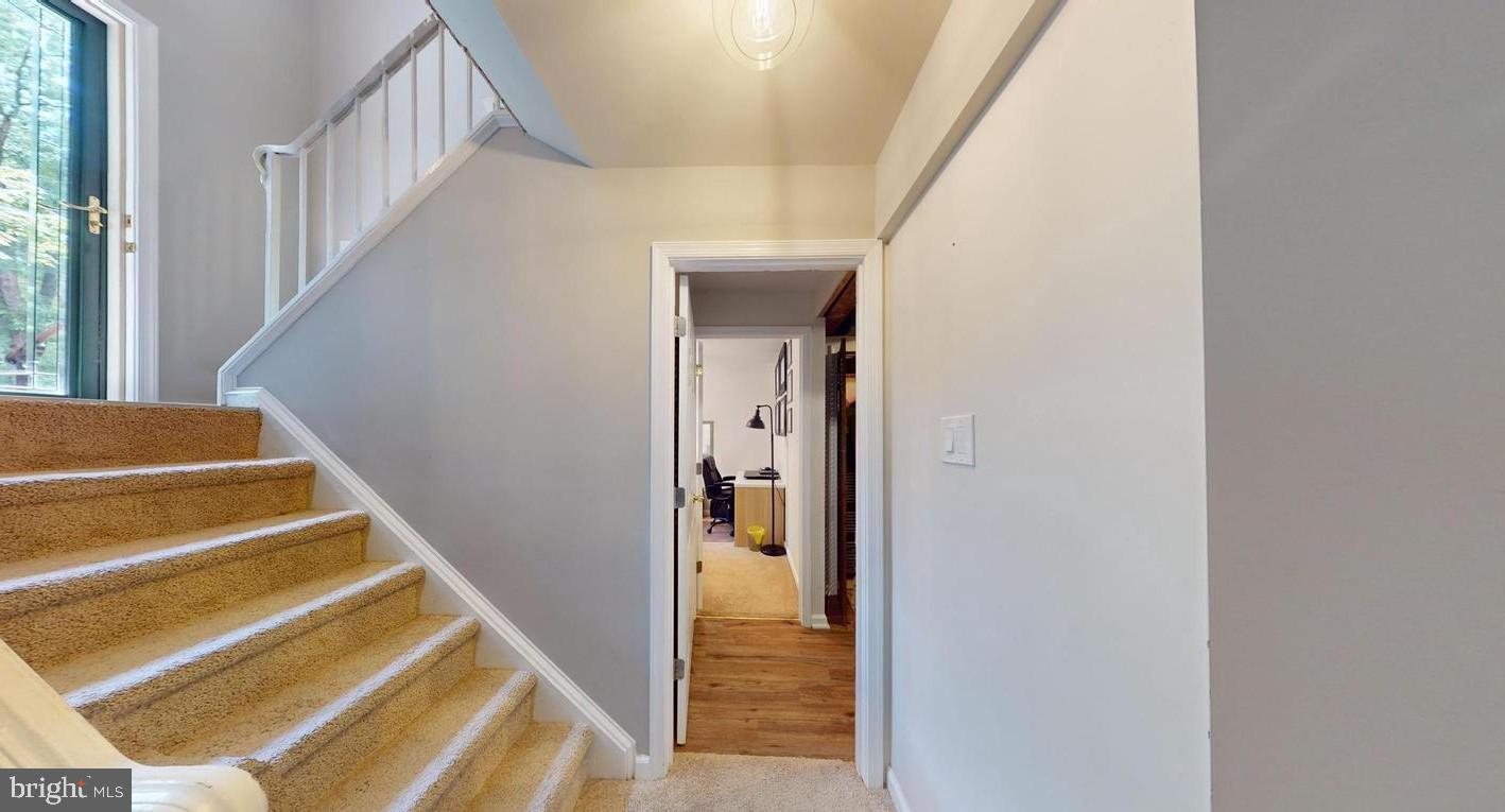 SPRINGFIELD - Residential Lease