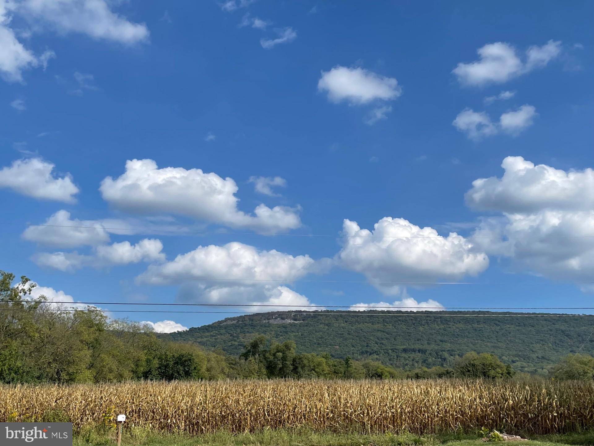 BOONSBORO - Residential