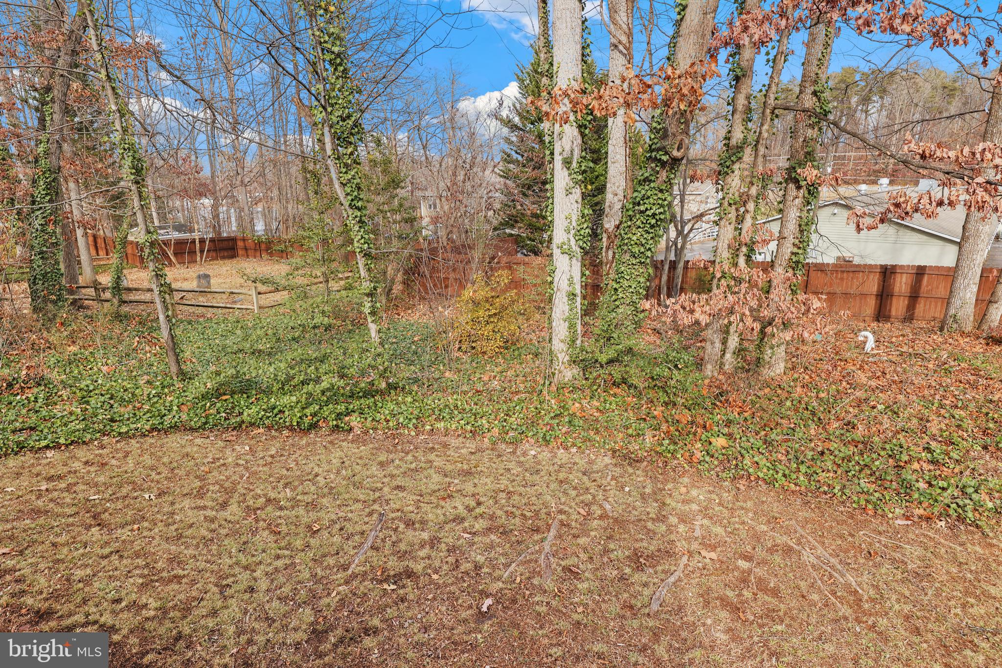 LAKE OF THE WOODS - Residential