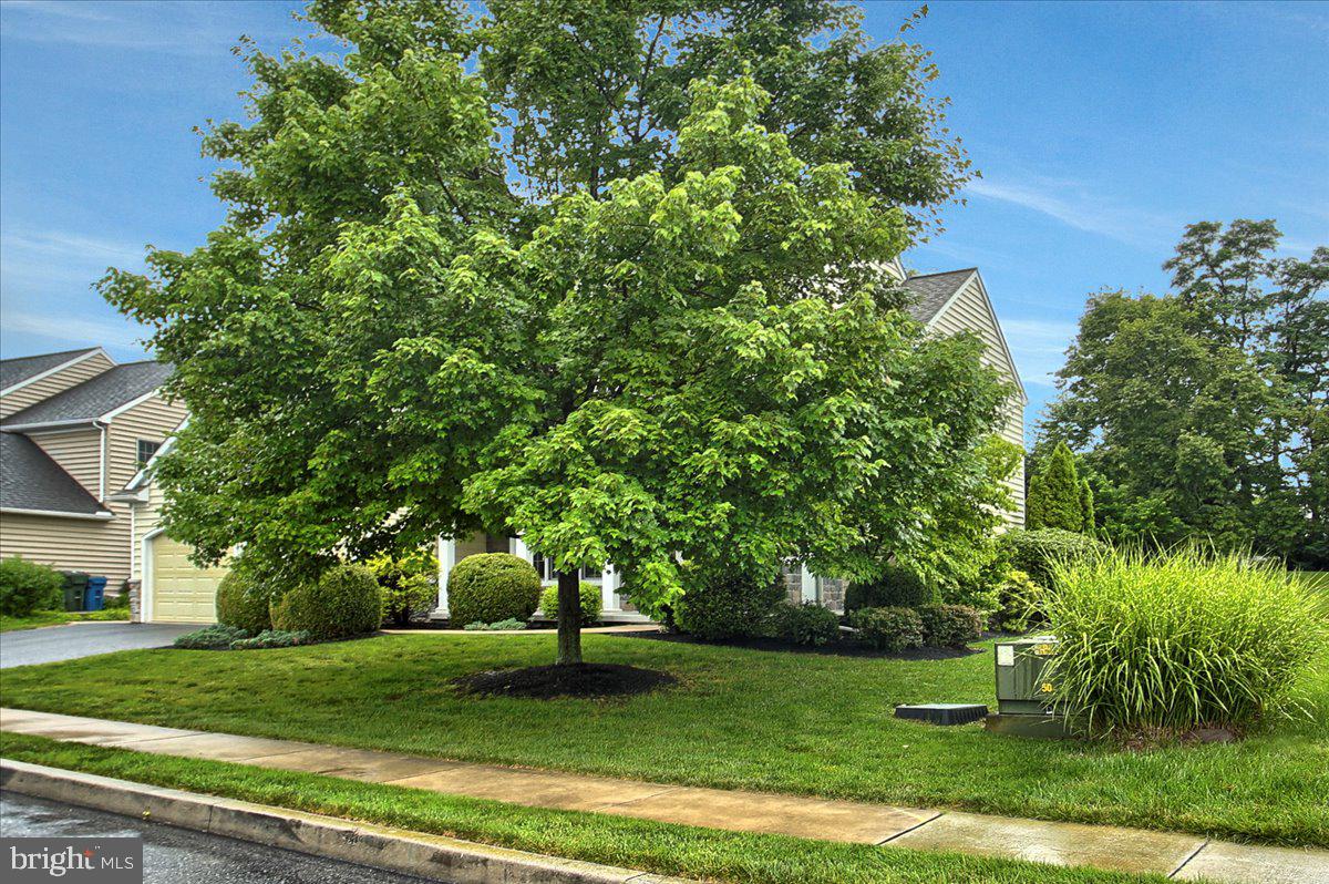 WINDING HILLS - Residential
