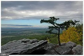 Haymarket, Virginia 20169, United States, ,Land,Active,99157