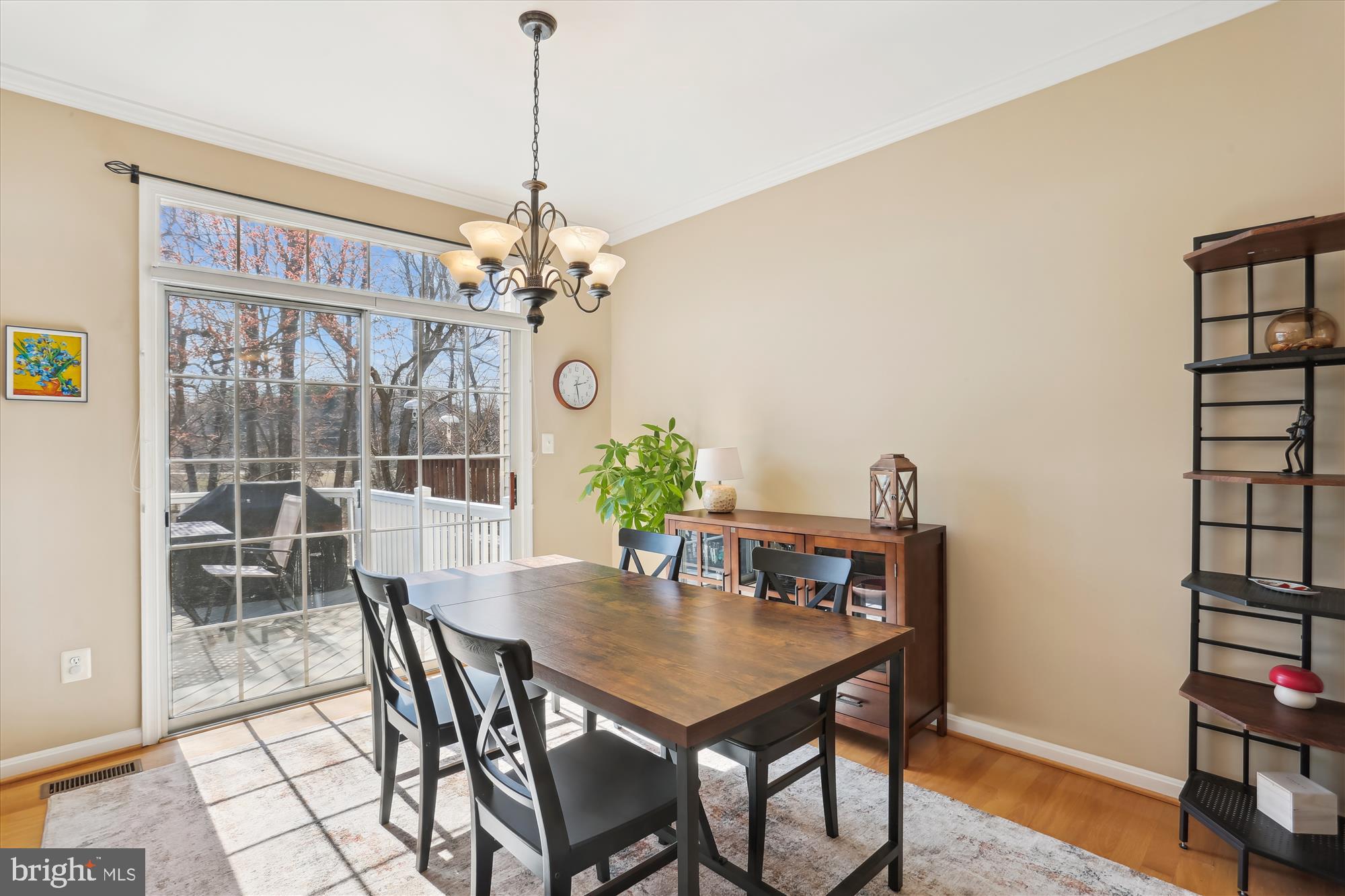 10336 PROCERA DRIVE