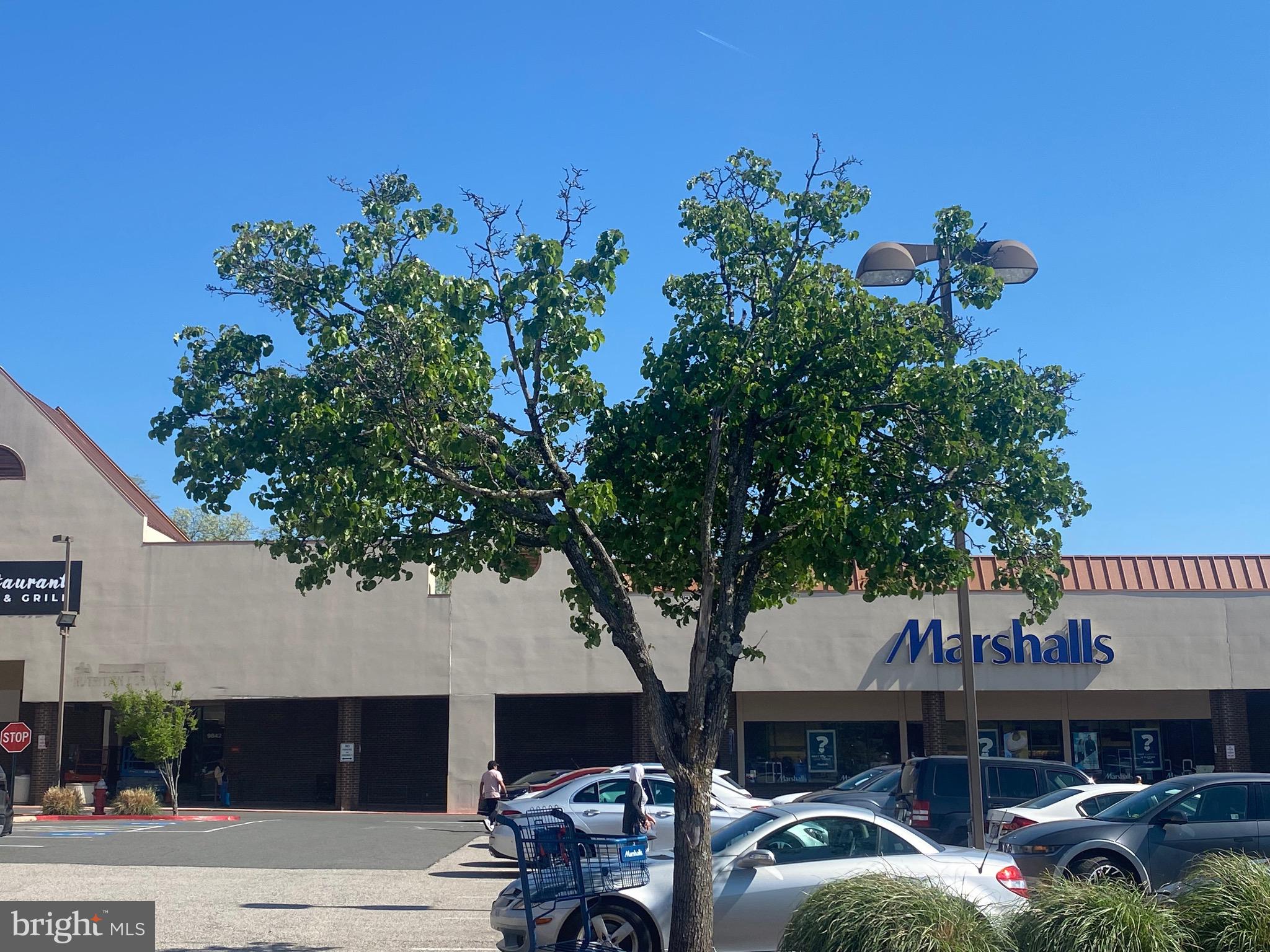 HOLLY PARK - Residential