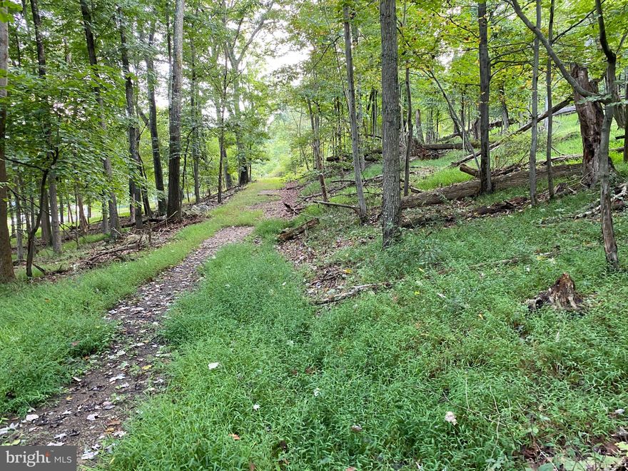Back on Market due to buyers financing, no fault of the seller. Nice buildable 4 acre lot that backs to Cacapon State Park land.  Features a right of way to get to the property and is nicely wooded.  Level enough to build on.