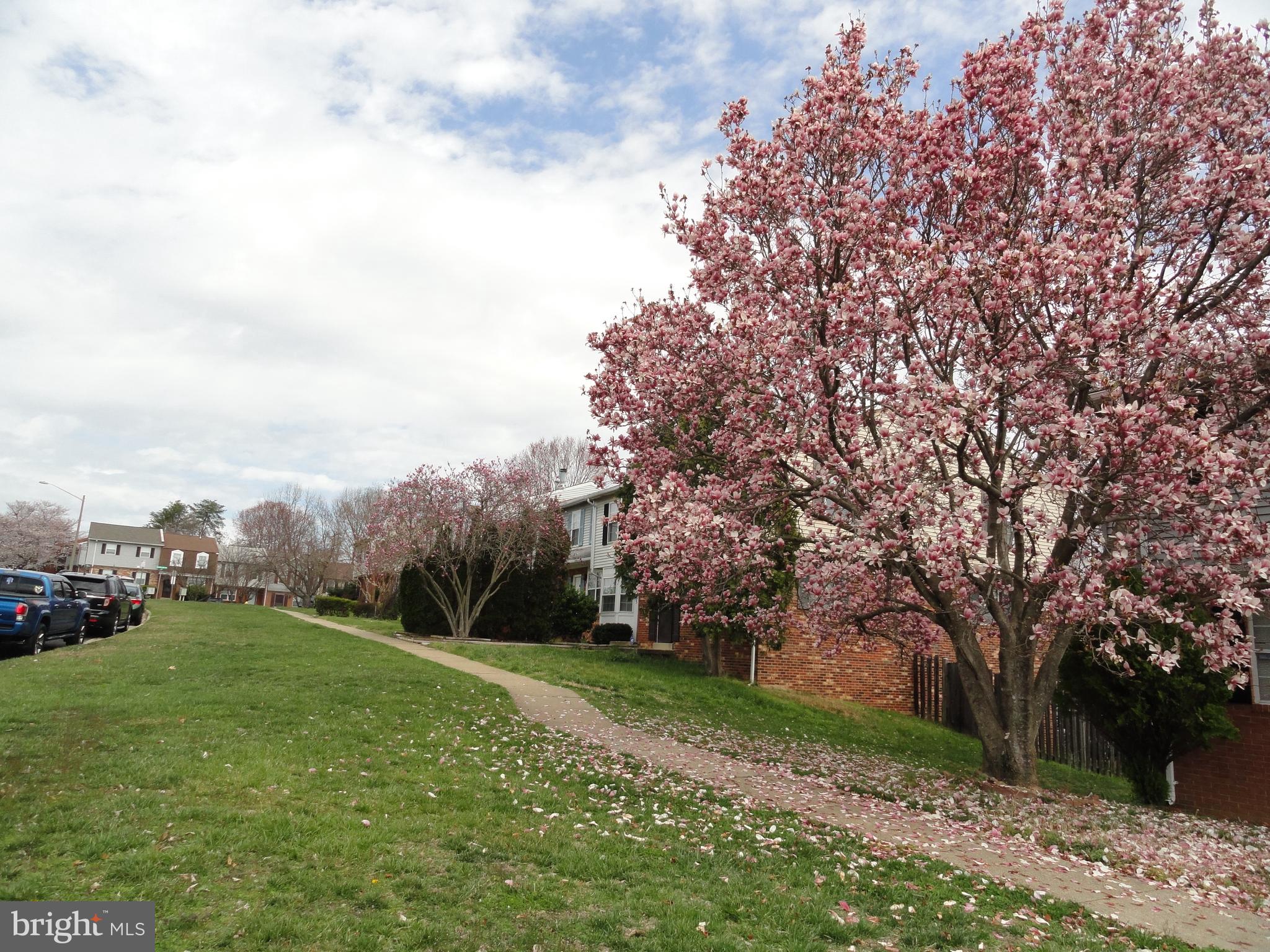 DALE CITY - Residential