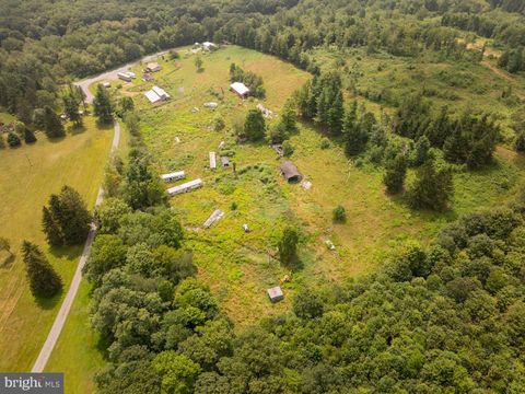 Vacant Land For Sale - 1055 Old Wilson Road<br/> SWANTON, MD 21561