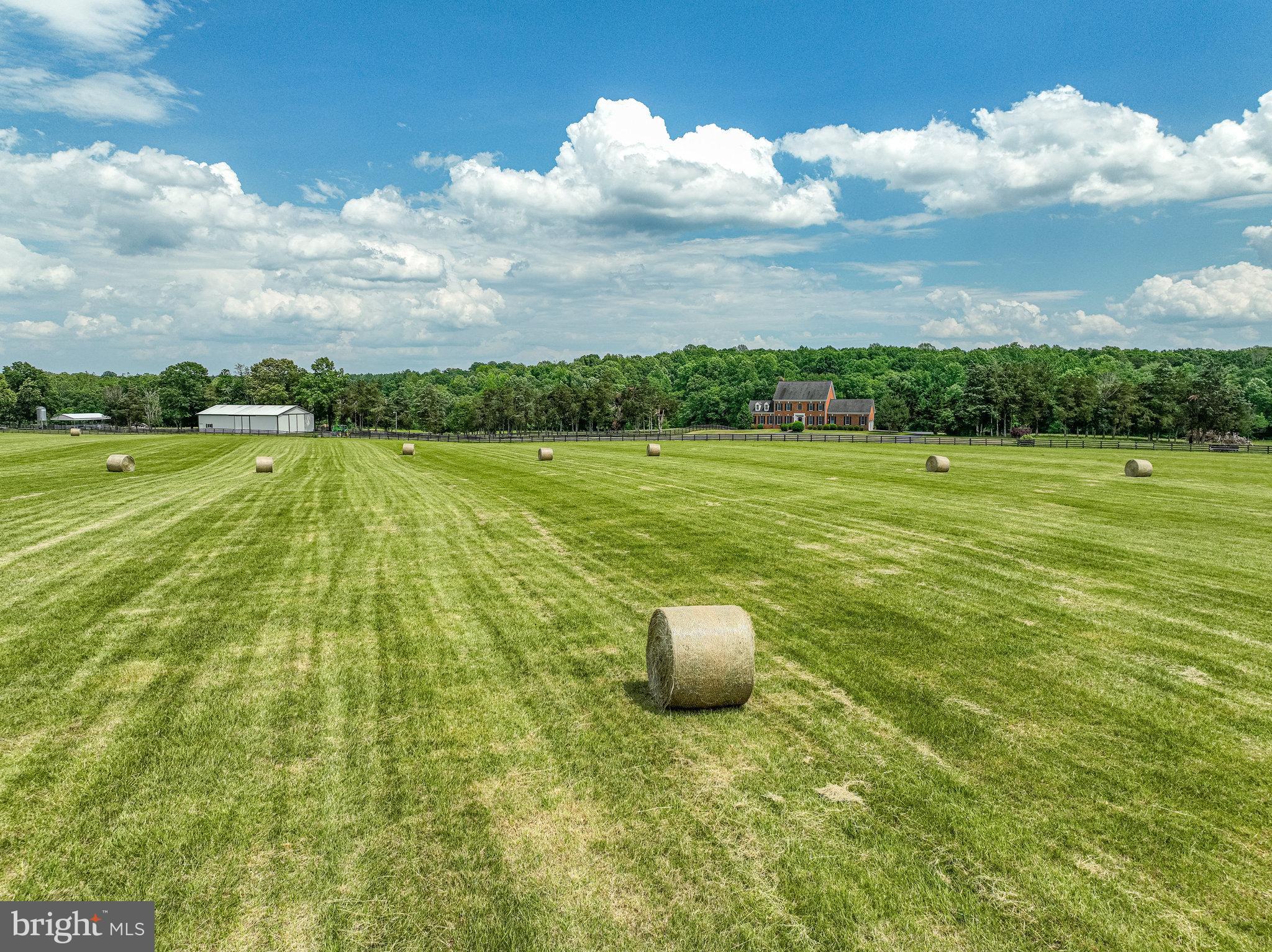 NONE AVAILABLE - Farm