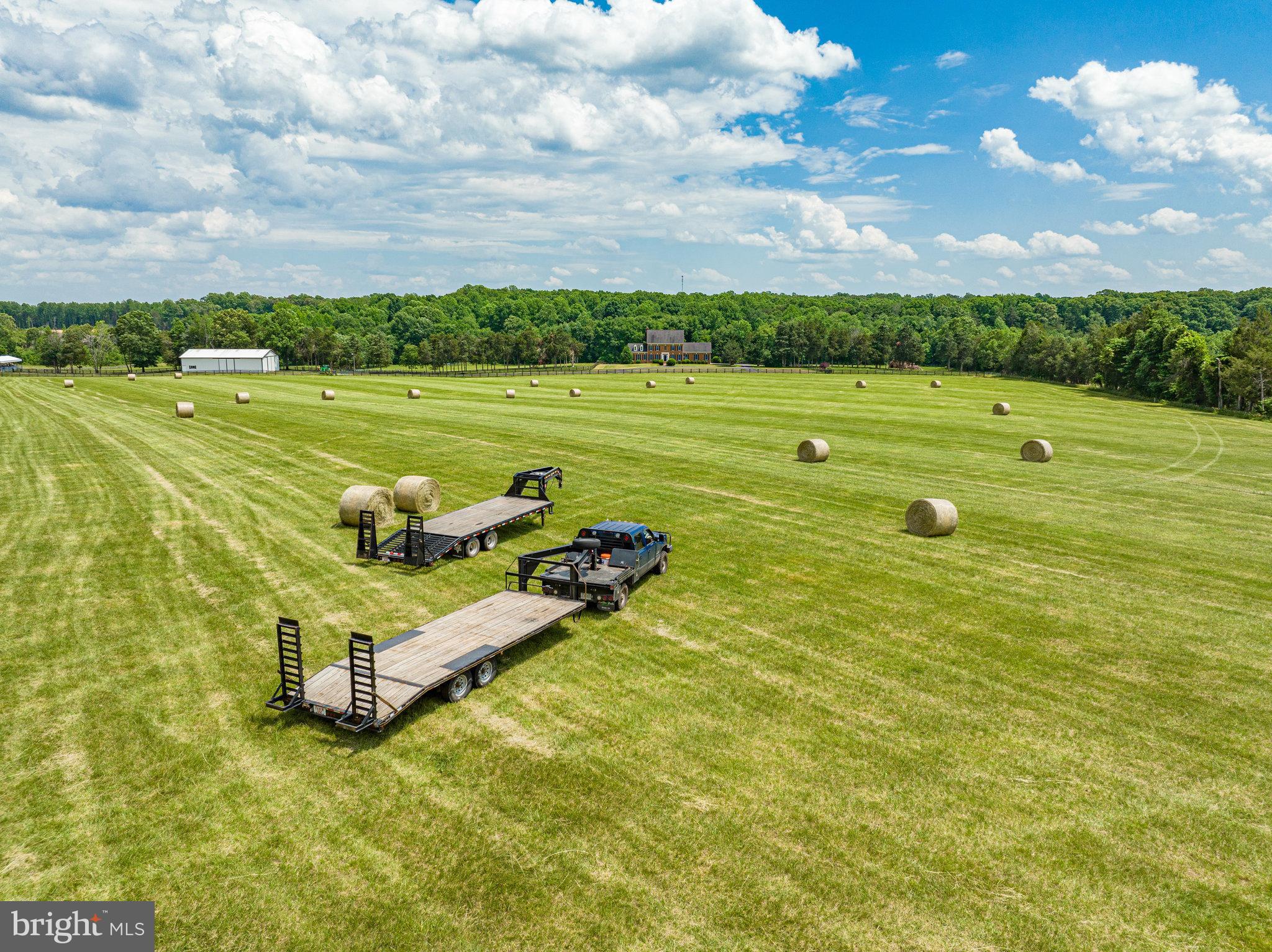 NONE AVAILABLE - Farm