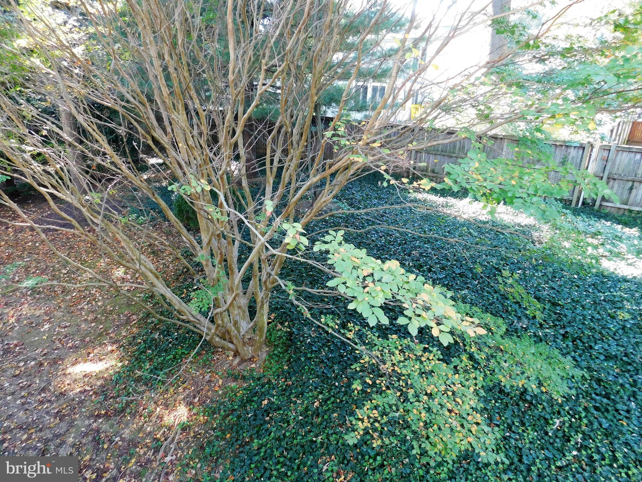 PINE VALLEY - Residential