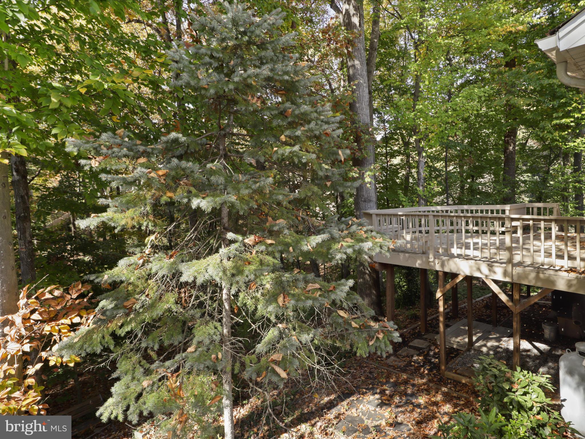 COUNTRY CLUB LAKE - Residential