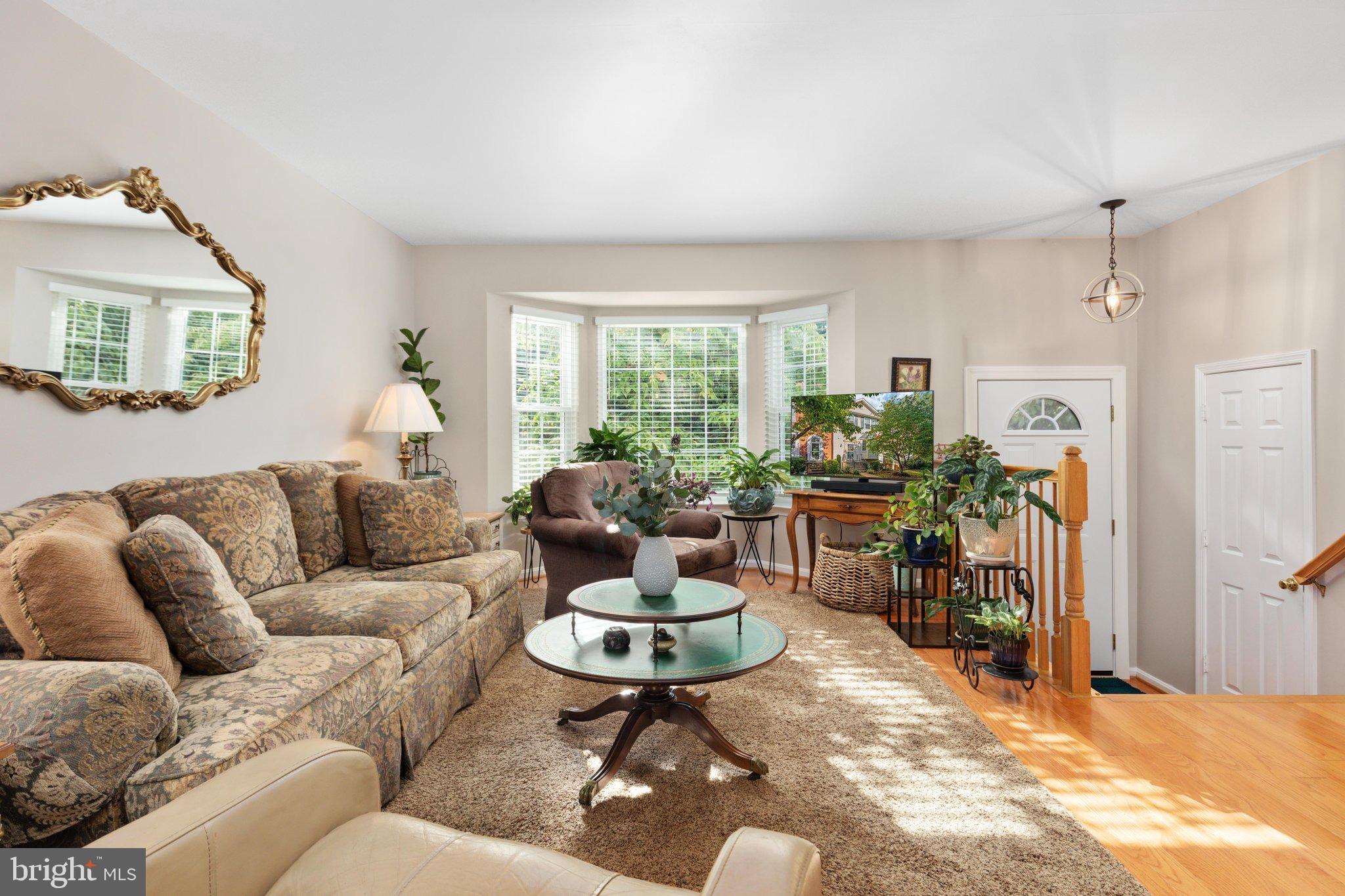 13834 RAMPANT LION COURT