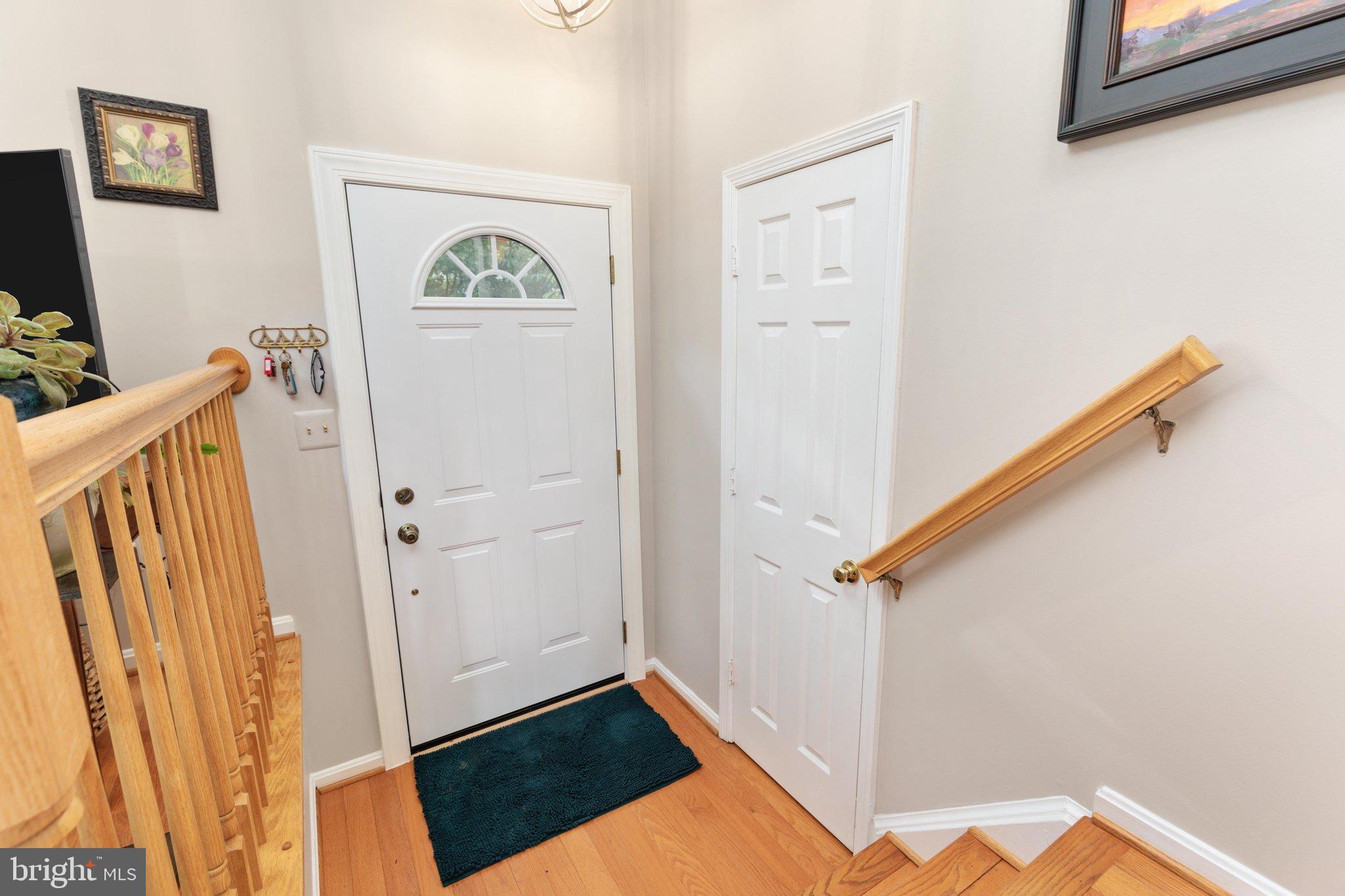 13834 RAMPANT LION COURT