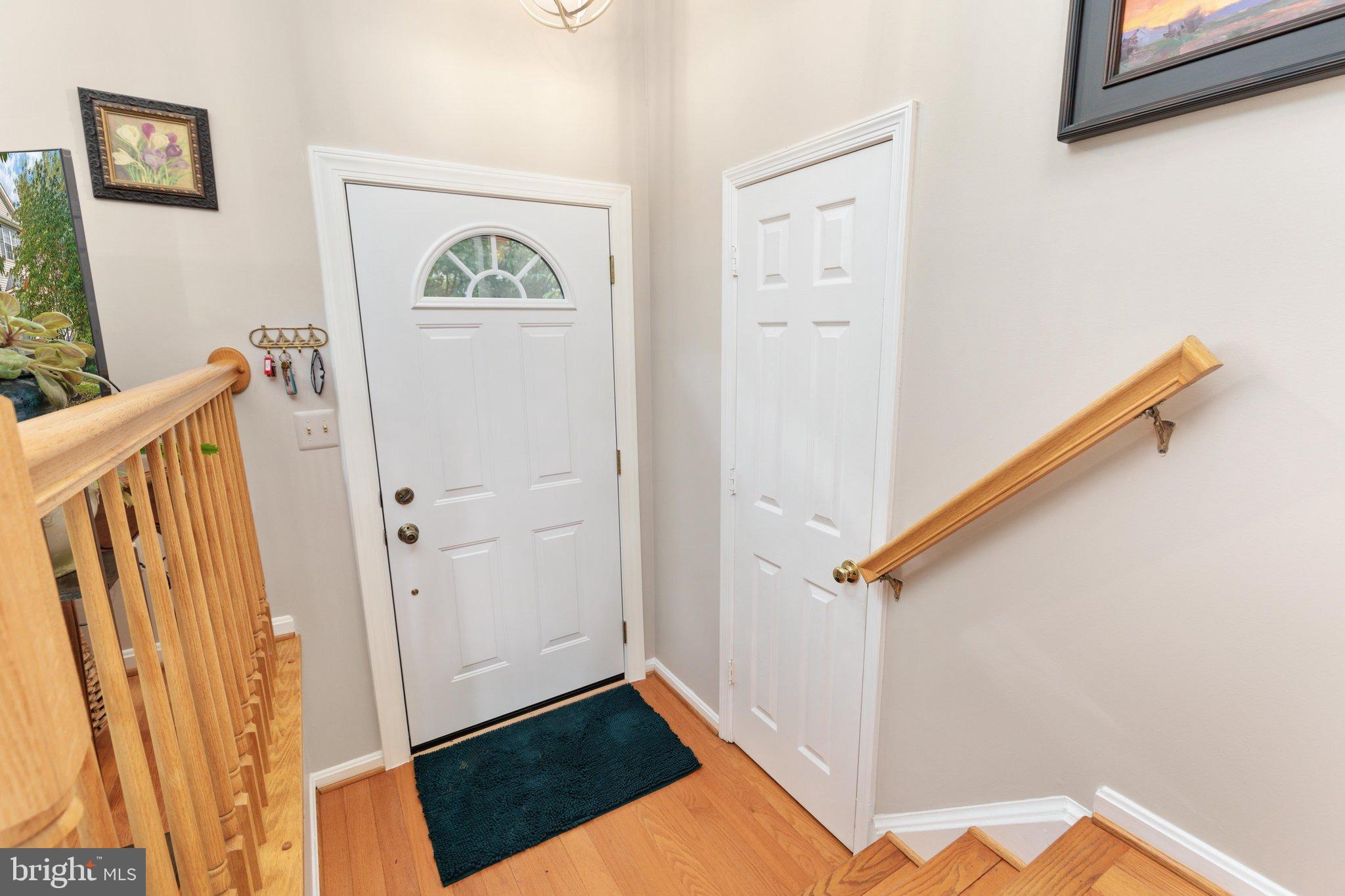 13834 RAMPANT LION COURT