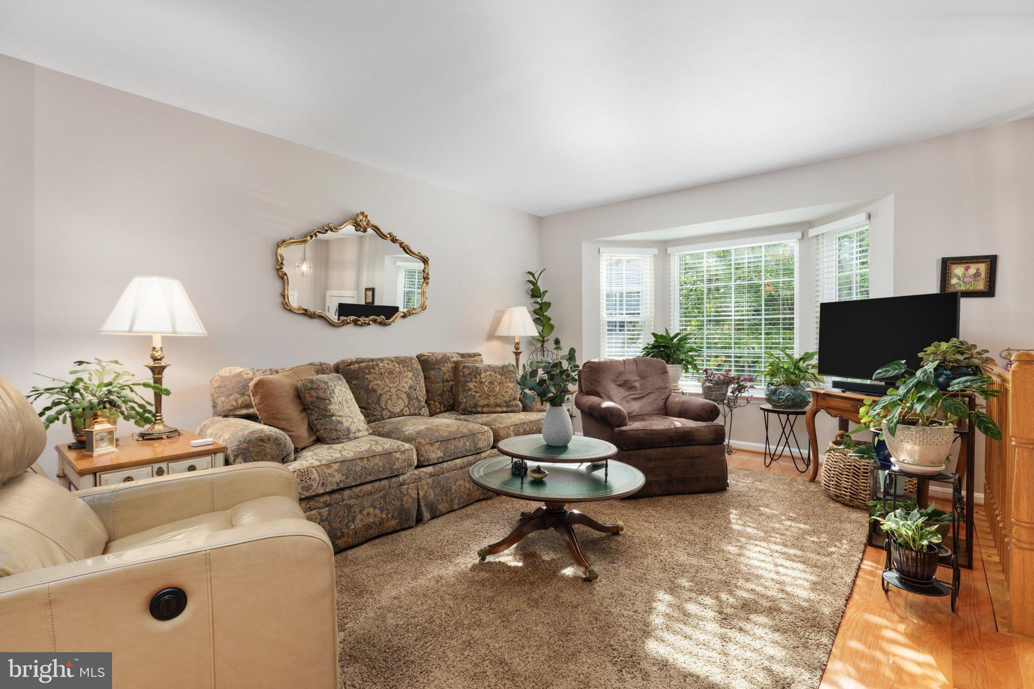 13834 RAMPANT LION COURT