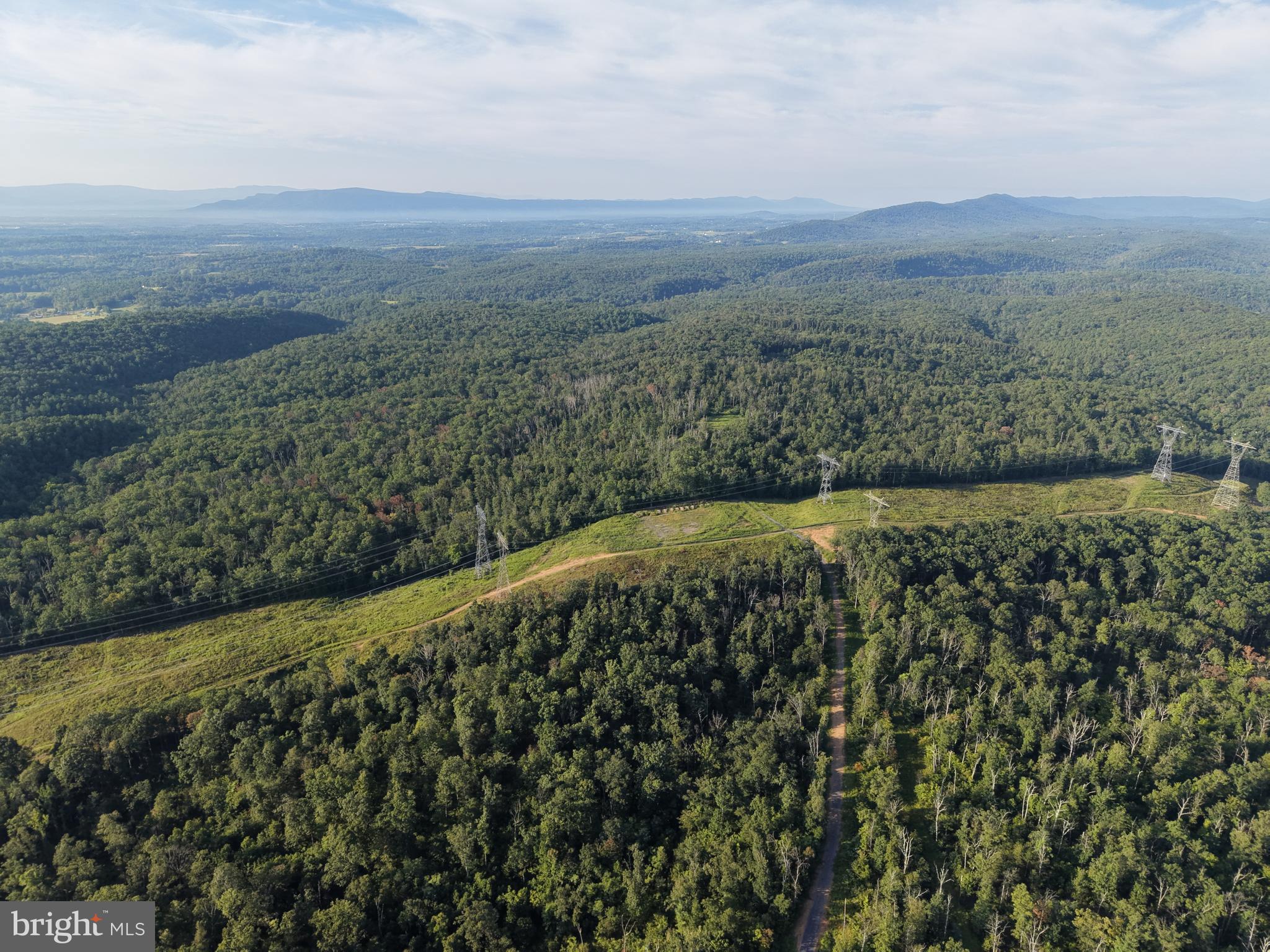 TRACT 2: 158.43+/- ACRES LAUREL GROVE RD