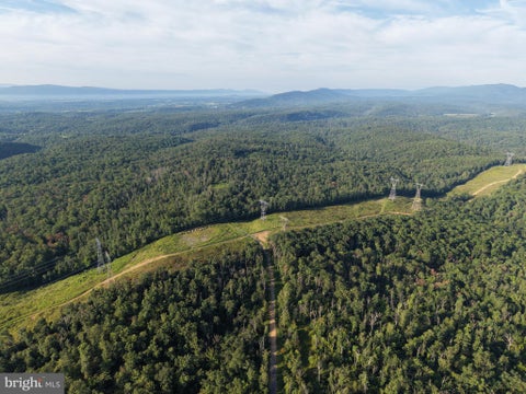 Vacant Land For Sale - TRACT 2: 158.43+/- ACRES Laurel Grove Rd<br/> WINCHESTER, VA 22602