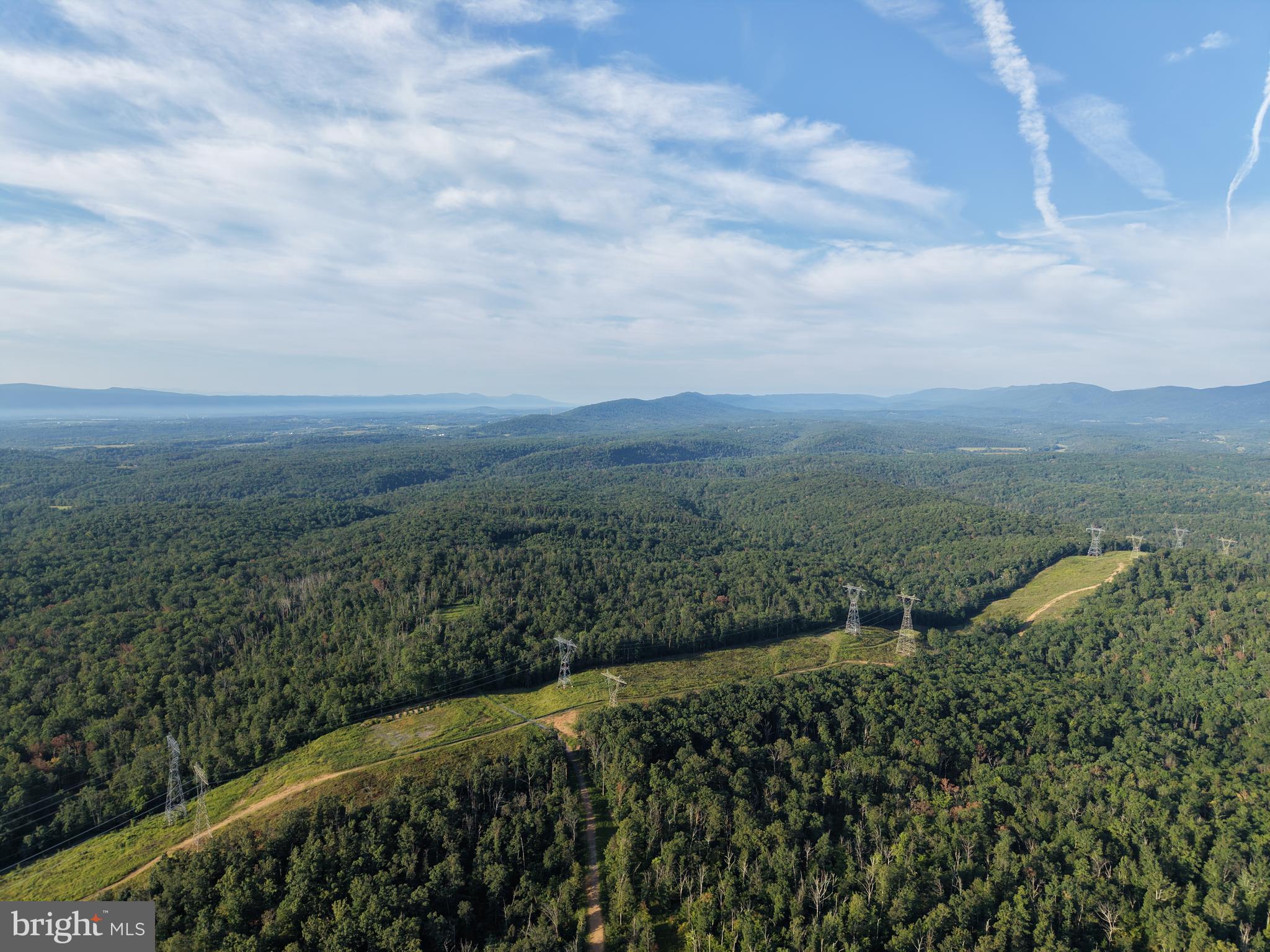 TRACT 2: 158.43+/- ACRES LAUREL GROVE RD