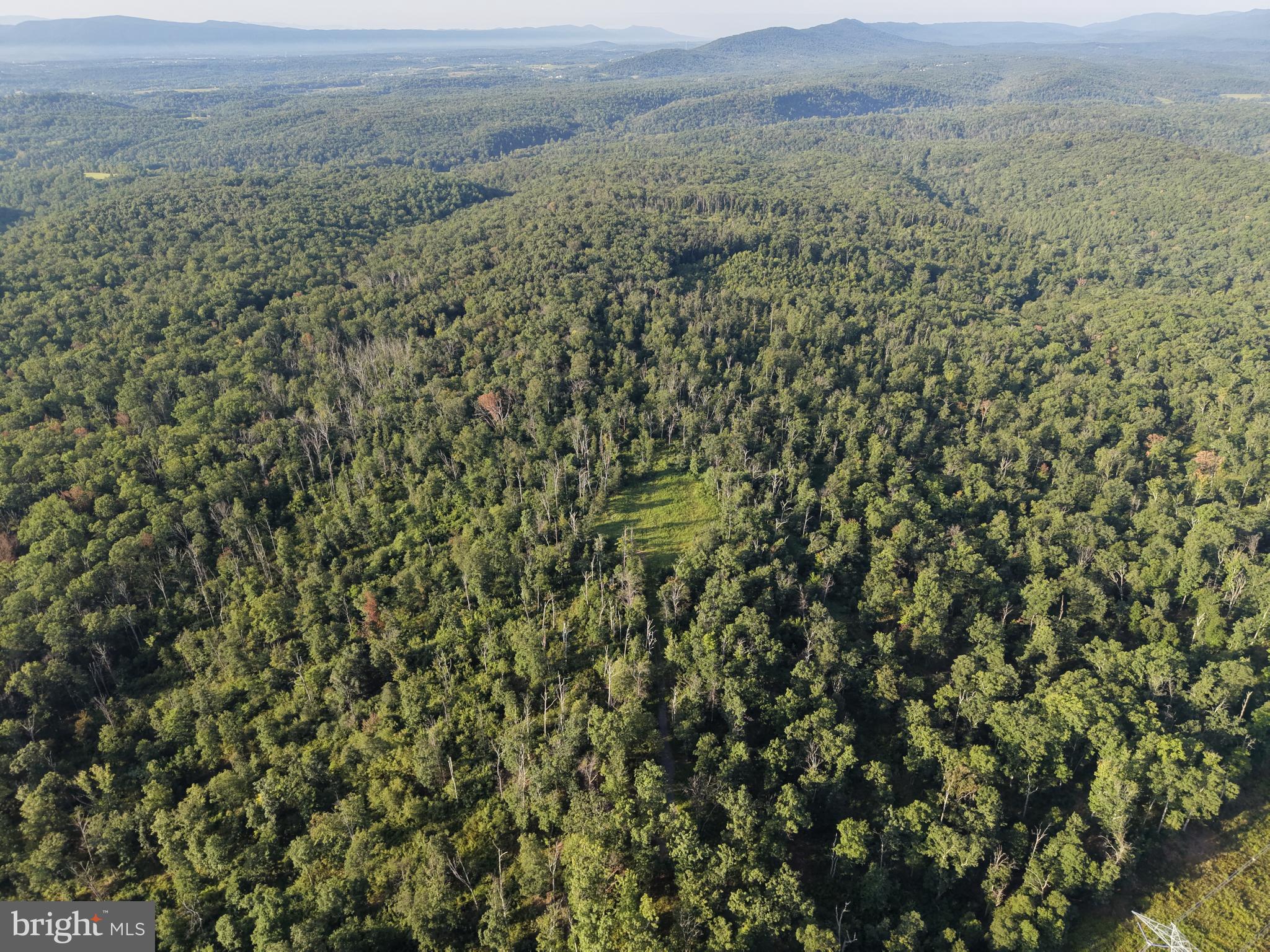 TRACT 2: 158.43+/- ACRES LAUREL GROVE RD