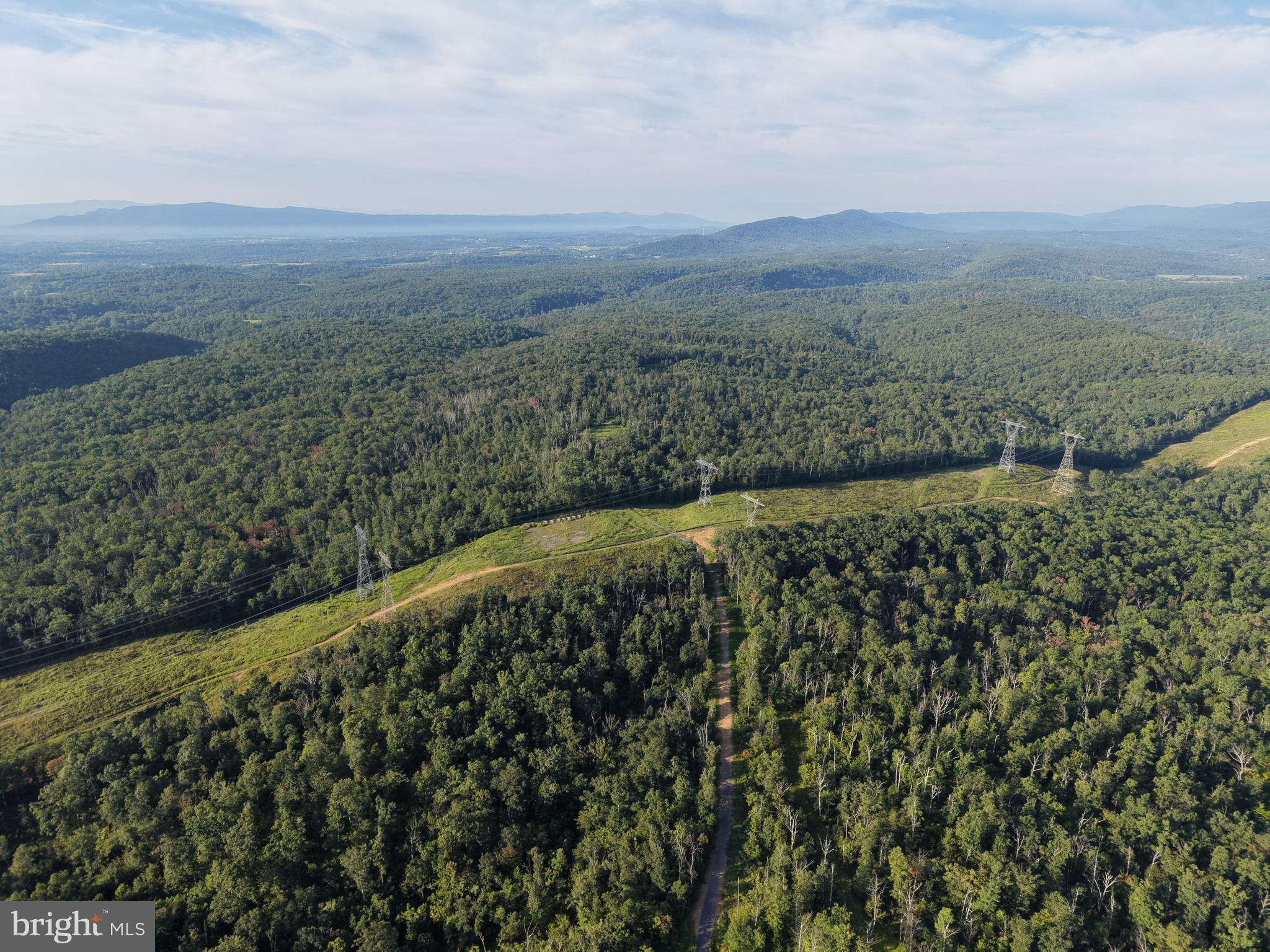 TRACT 2: 158.43+/- ACRES LAUREL GROVE RD
