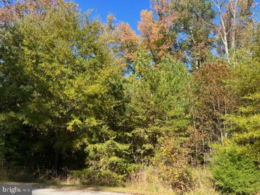 Great wooded building lot located in cu-de-sac.